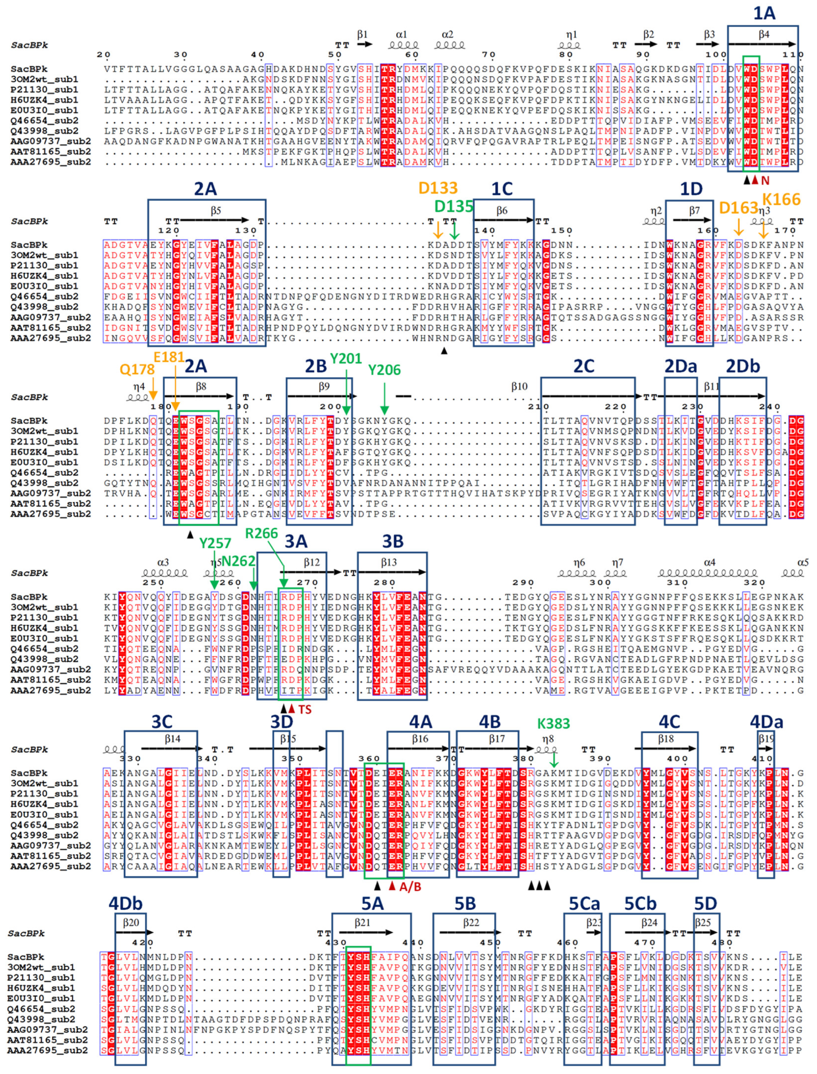 Catalysts 15 00216 g002