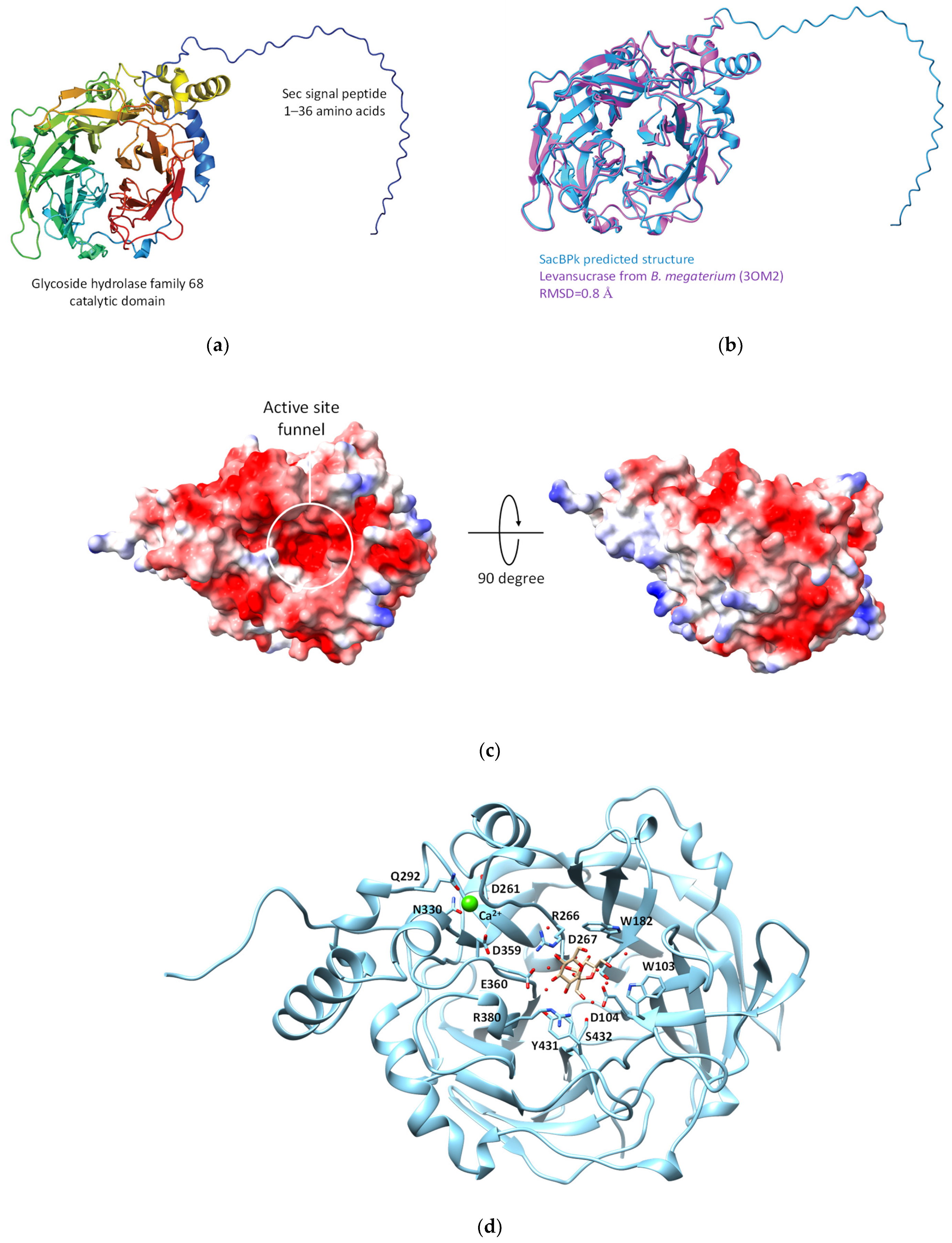Catalysts 15 00216 g003