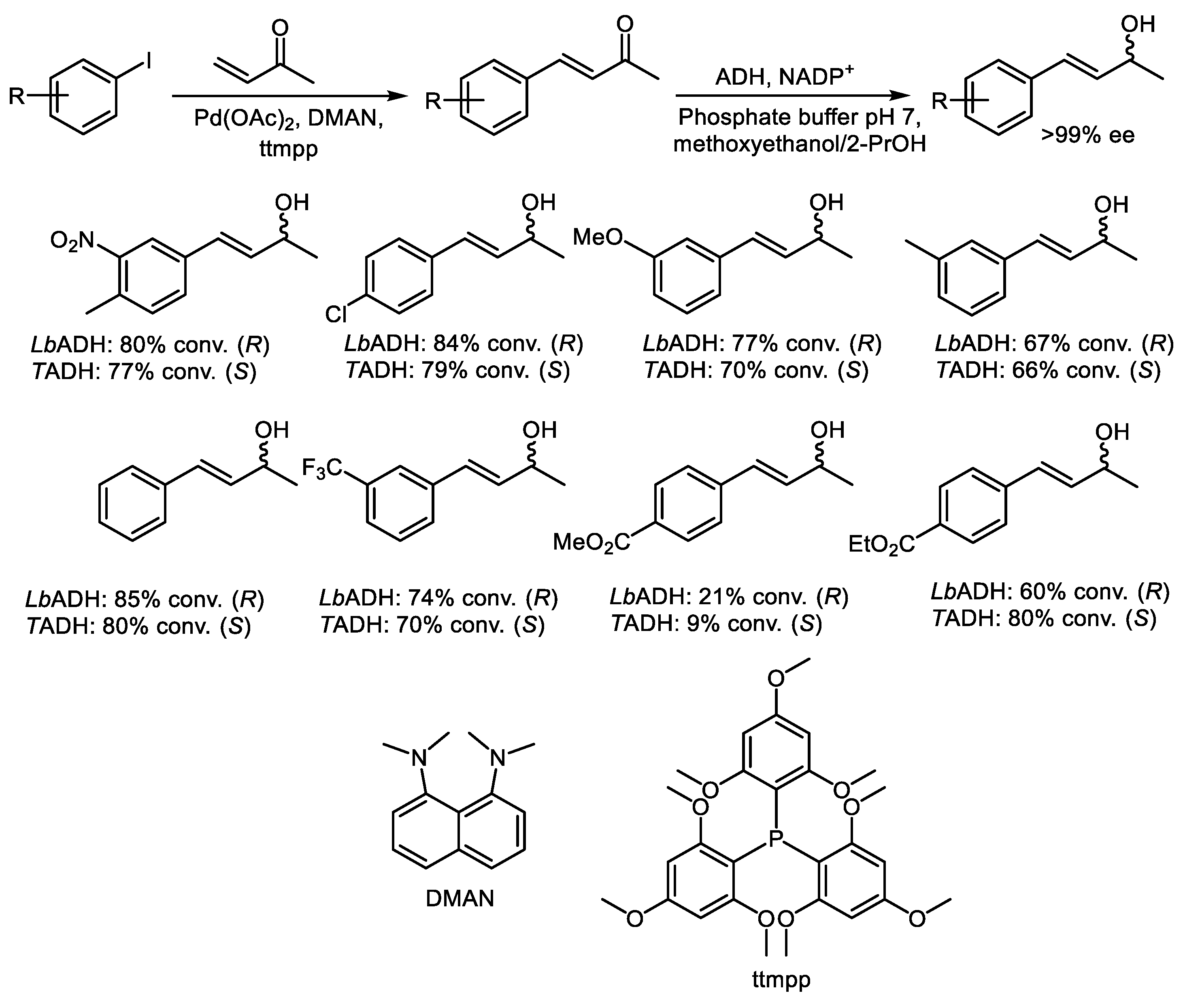 Catalysts 15 00223 sch002 Catalysts 15 00223 sch002
