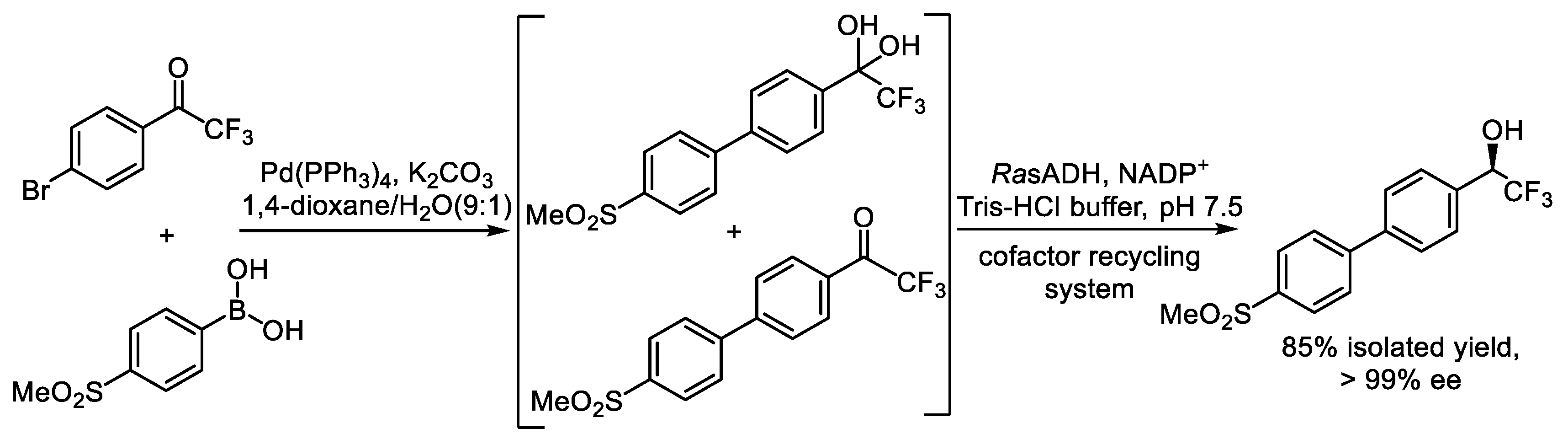 Catalysts 15 00223 sch006 Catalysts 15 00223 sch006