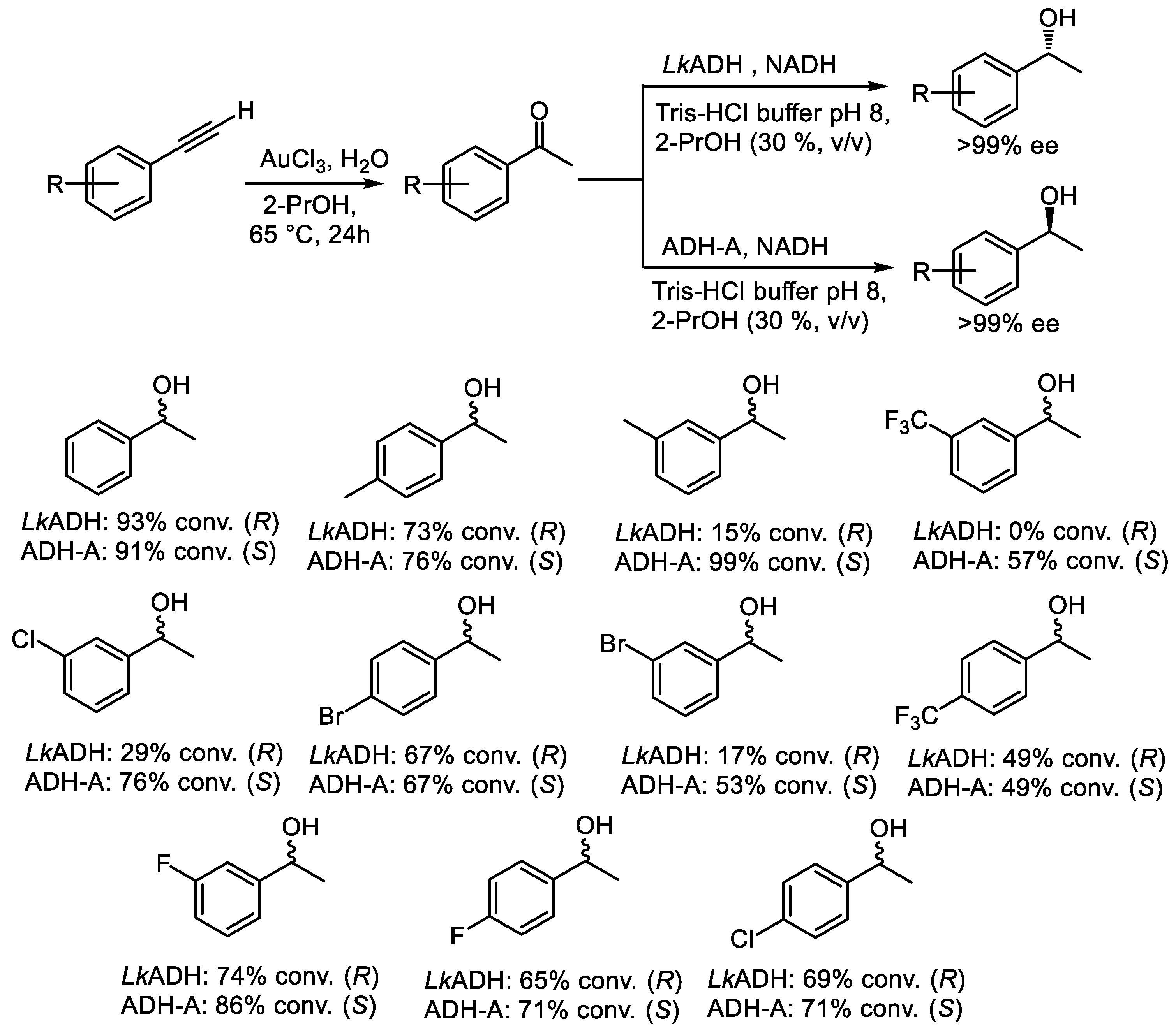 Catalysts 15 00223 sch009 Catalysts 15 00223 sch009