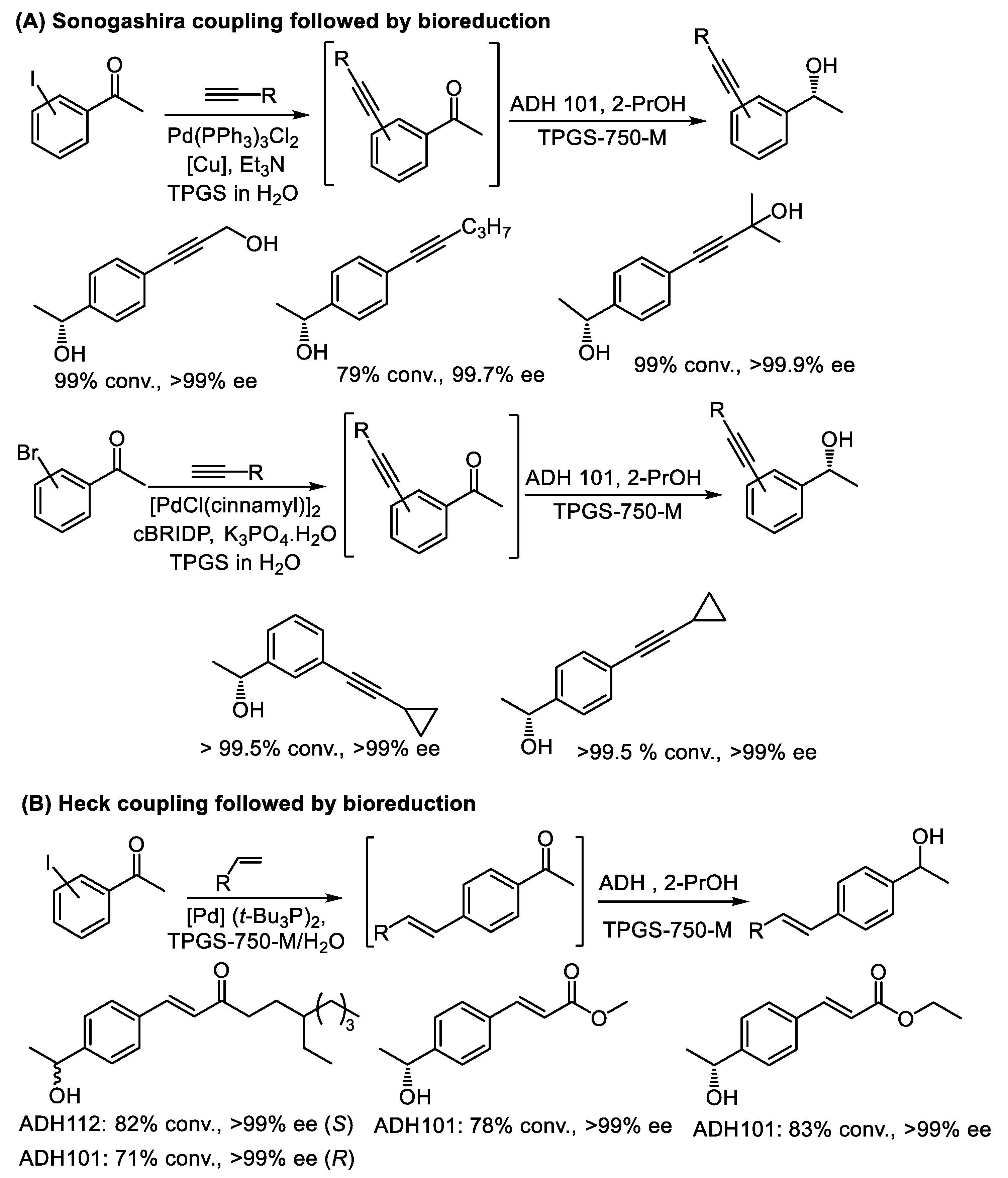 Catalysts 15 00223 sch010 Catalysts 15 00223 sch010