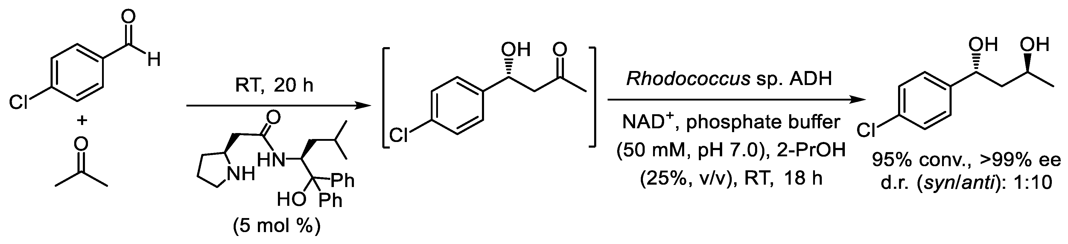 Catalysts 15 00223 sch012 Catalysts 15 00223 sch012