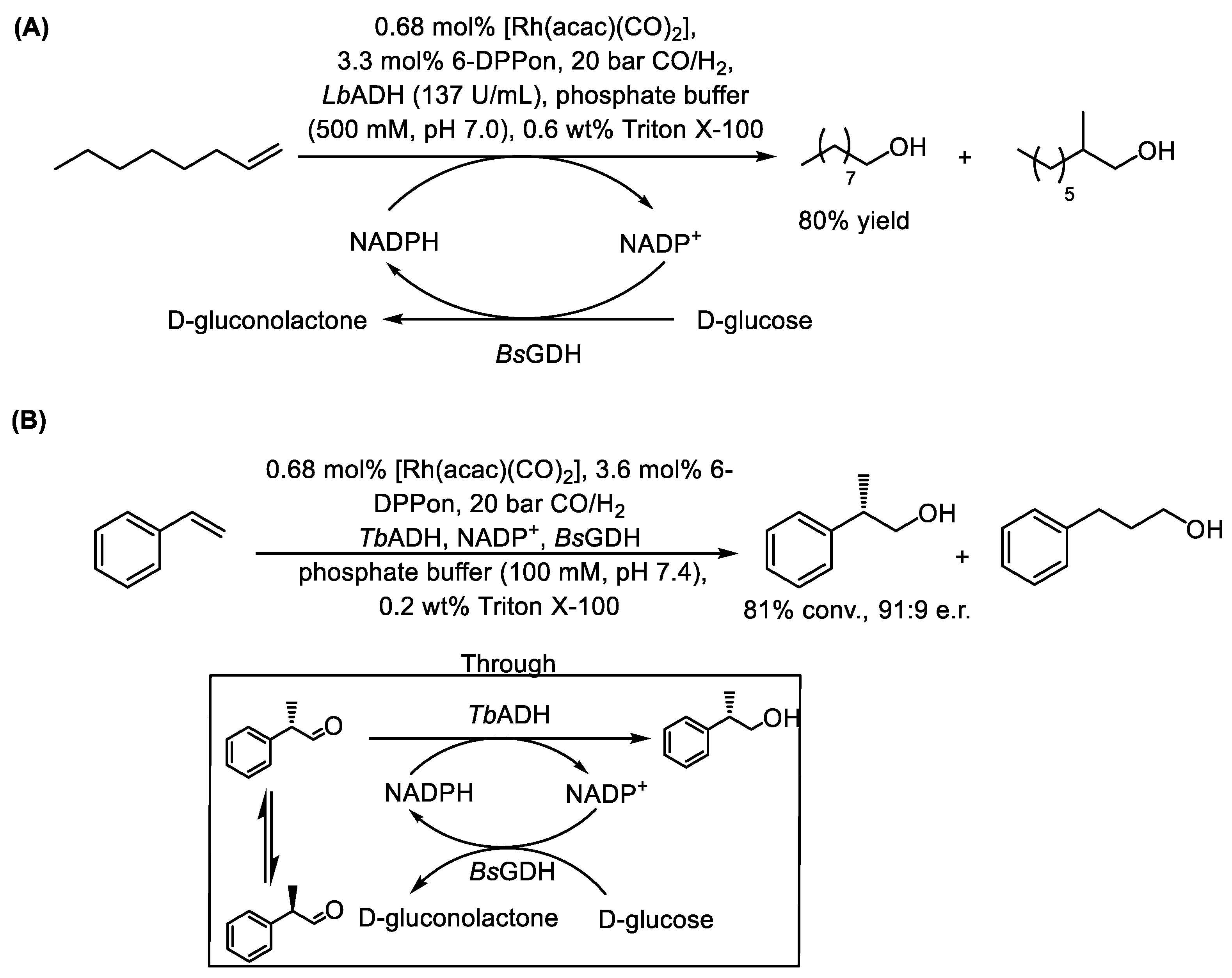 Catalysts 15 00223 sch018 Catalysts 15 00223 sch018