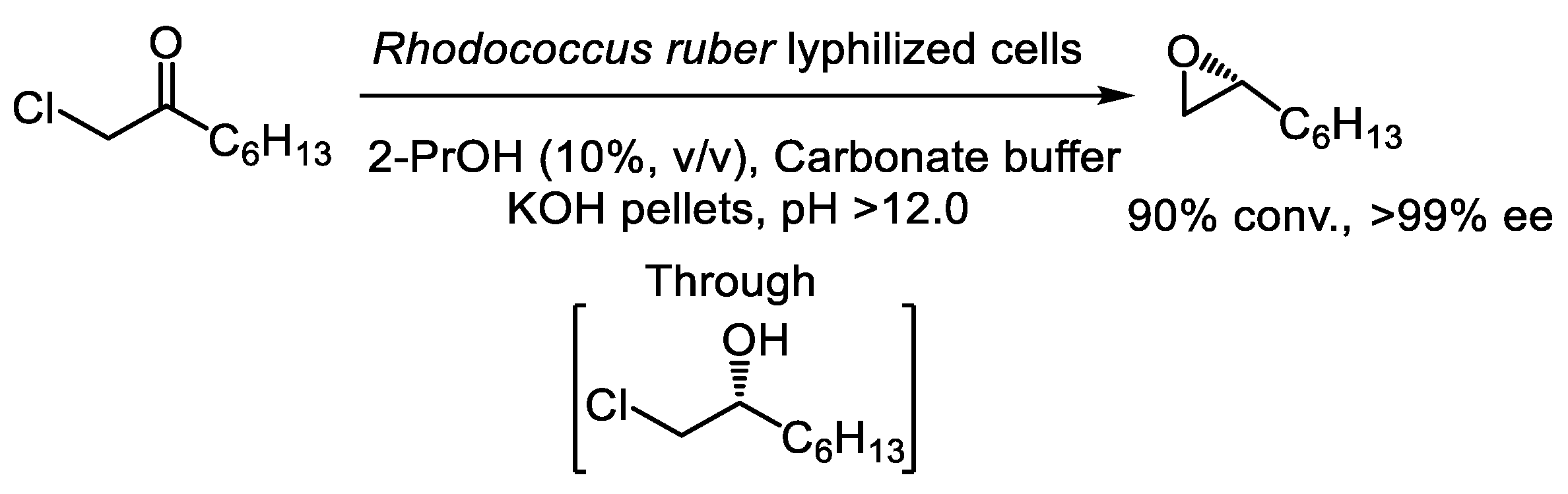 Catalysts 15 00223 sch019 Catalysts 15 00223 sch019