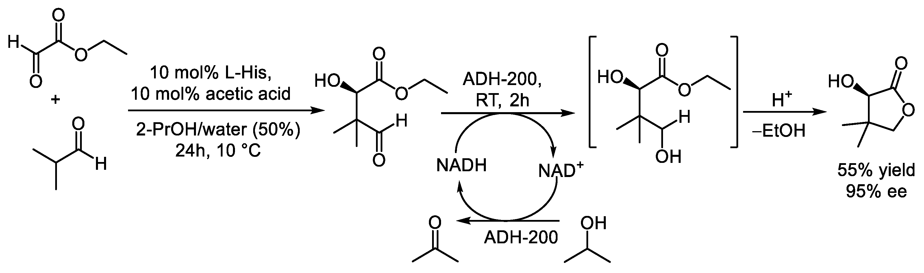 Catalysts 15 00223 sch020 Catalysts 15 00223 sch020