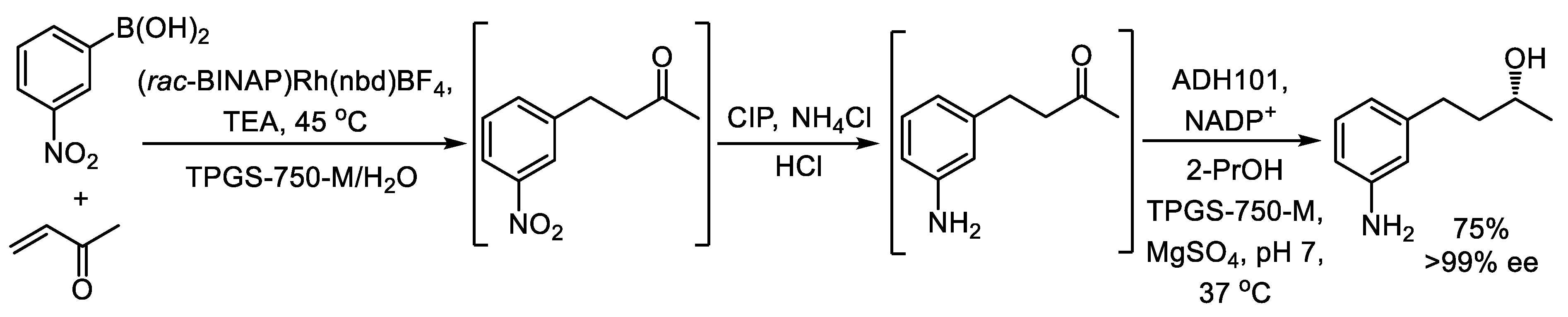 Catalysts 15 00223 sch021 Catalysts 15 00223 sch021