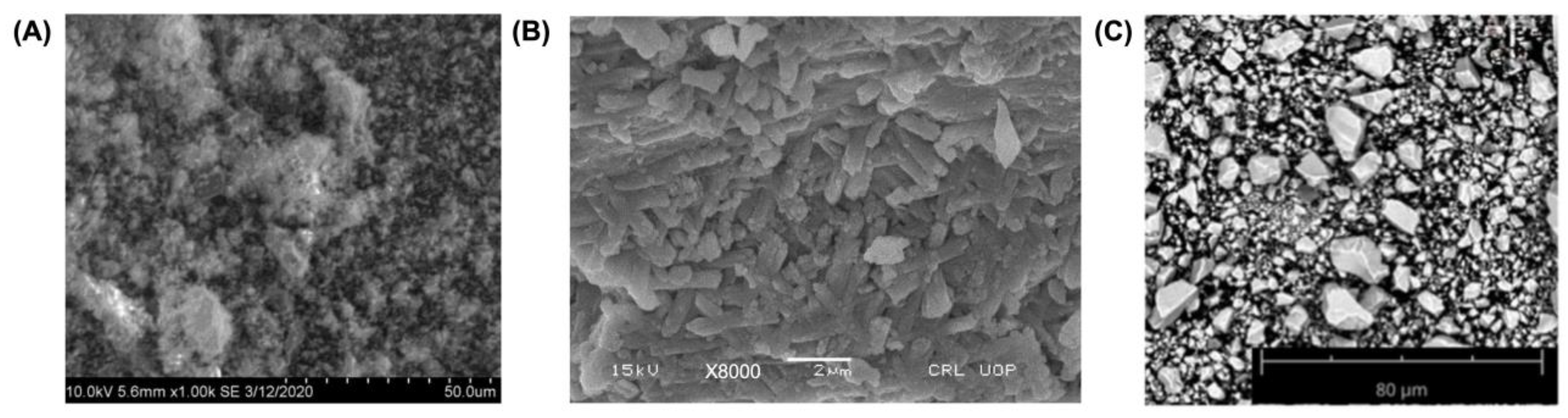 Catalysts 15 00236 g002
