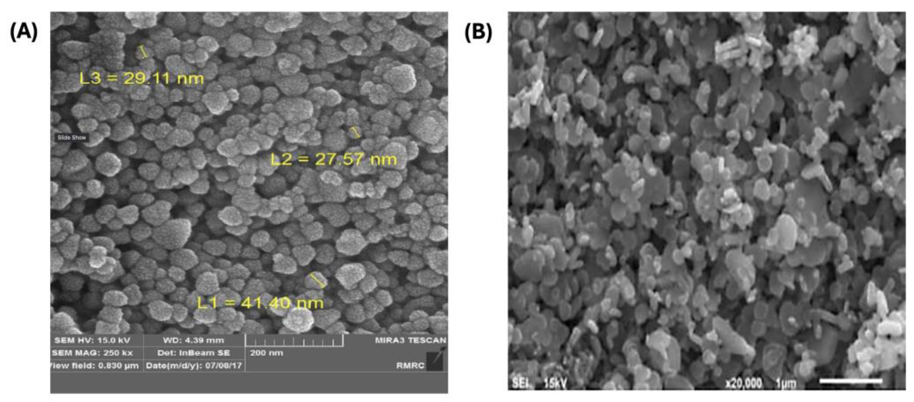 Catalysts 15 00236 g004