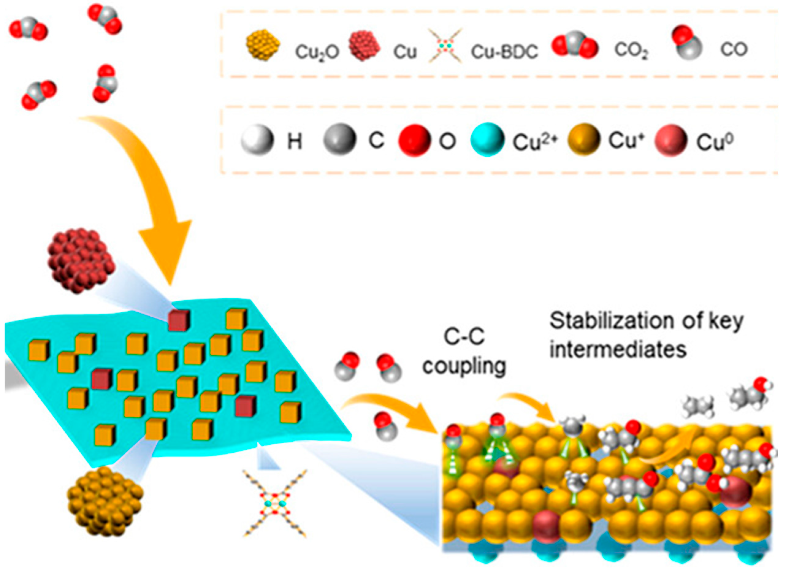 Catalysts 15 00237 g010 Catalysts 15 00237 g010