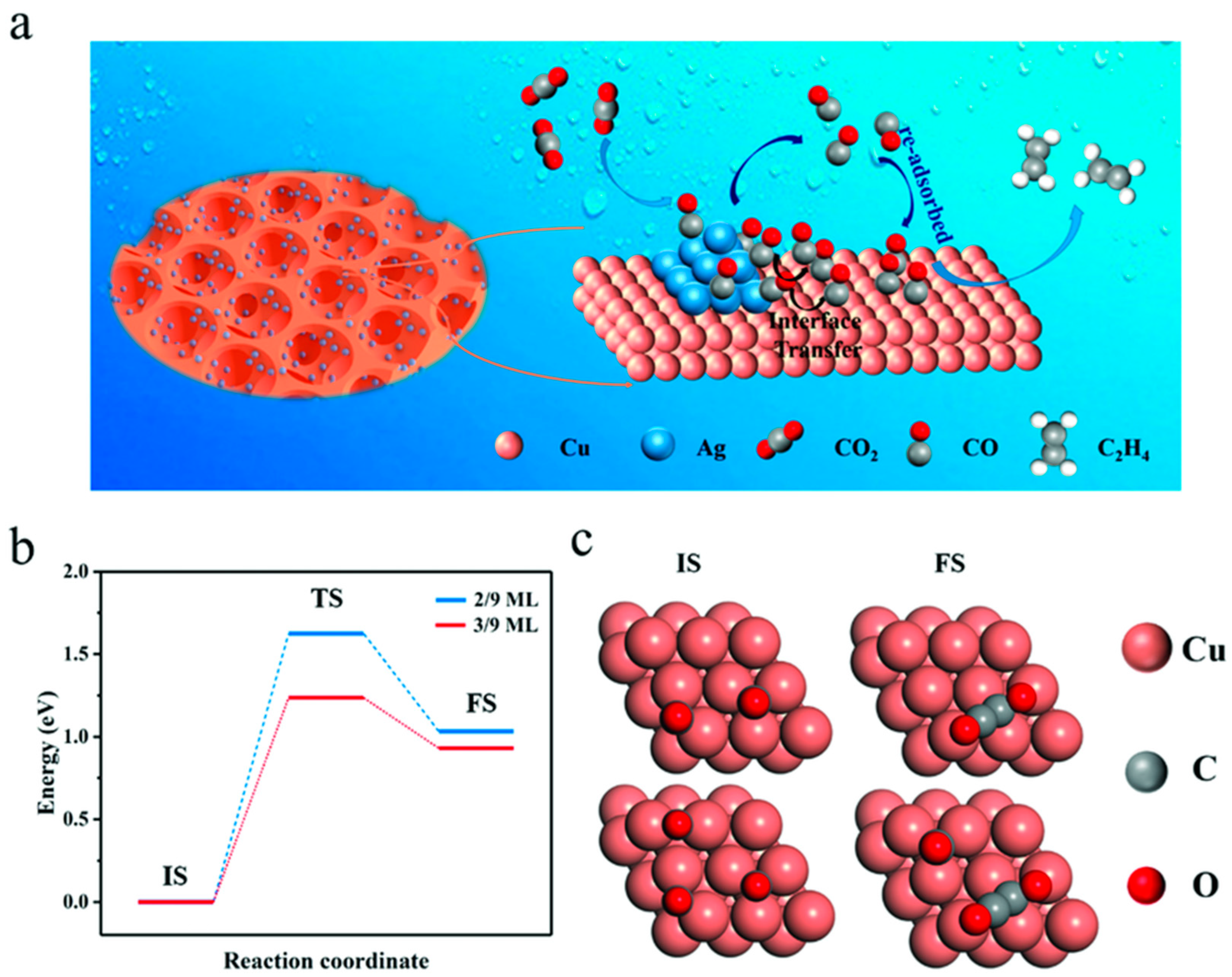 Catalysts 15 00237 g011 Catalysts 15 00237 g011