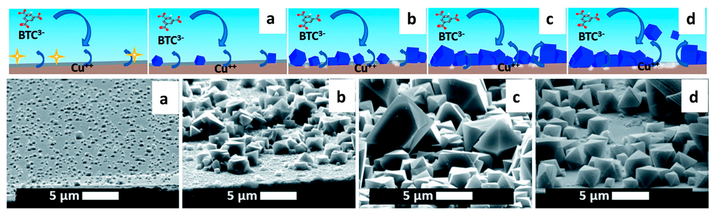 Catalysts 15 00244 g004 Catalysts 15 00244 g004