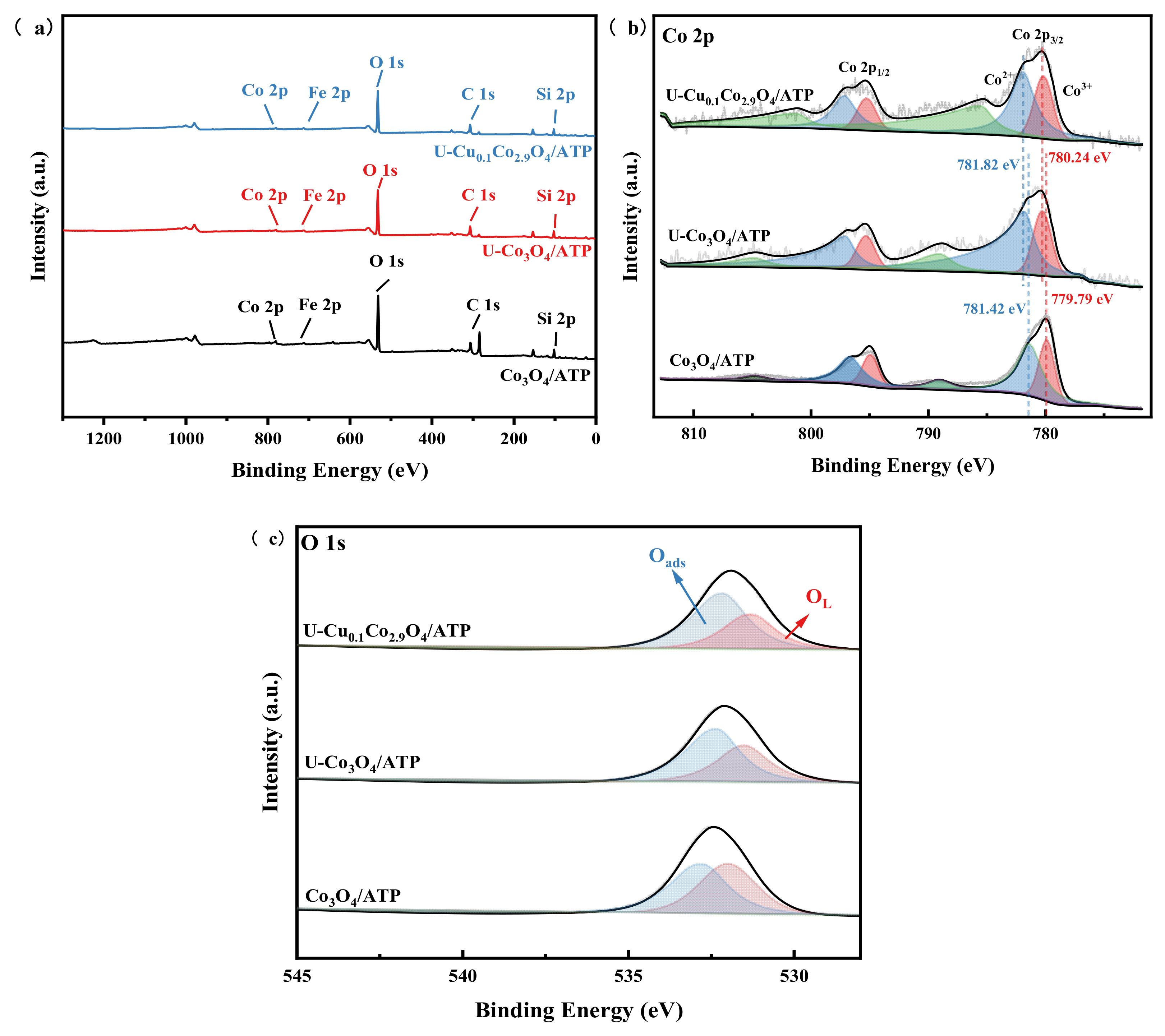 Catalysts 15 00252 g005