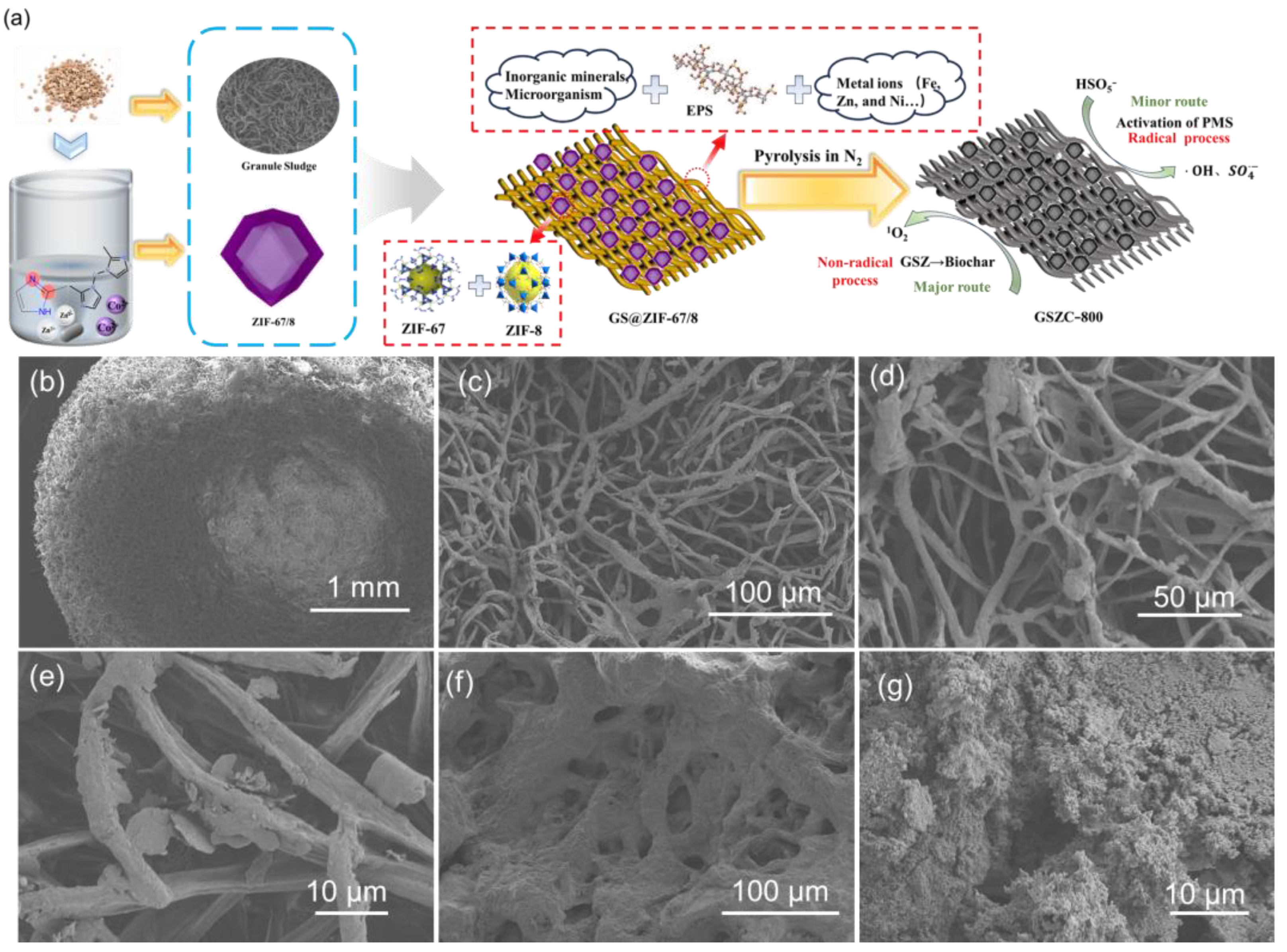 Catalysts 15 00264 g001 Catalysts 15 00264 g001