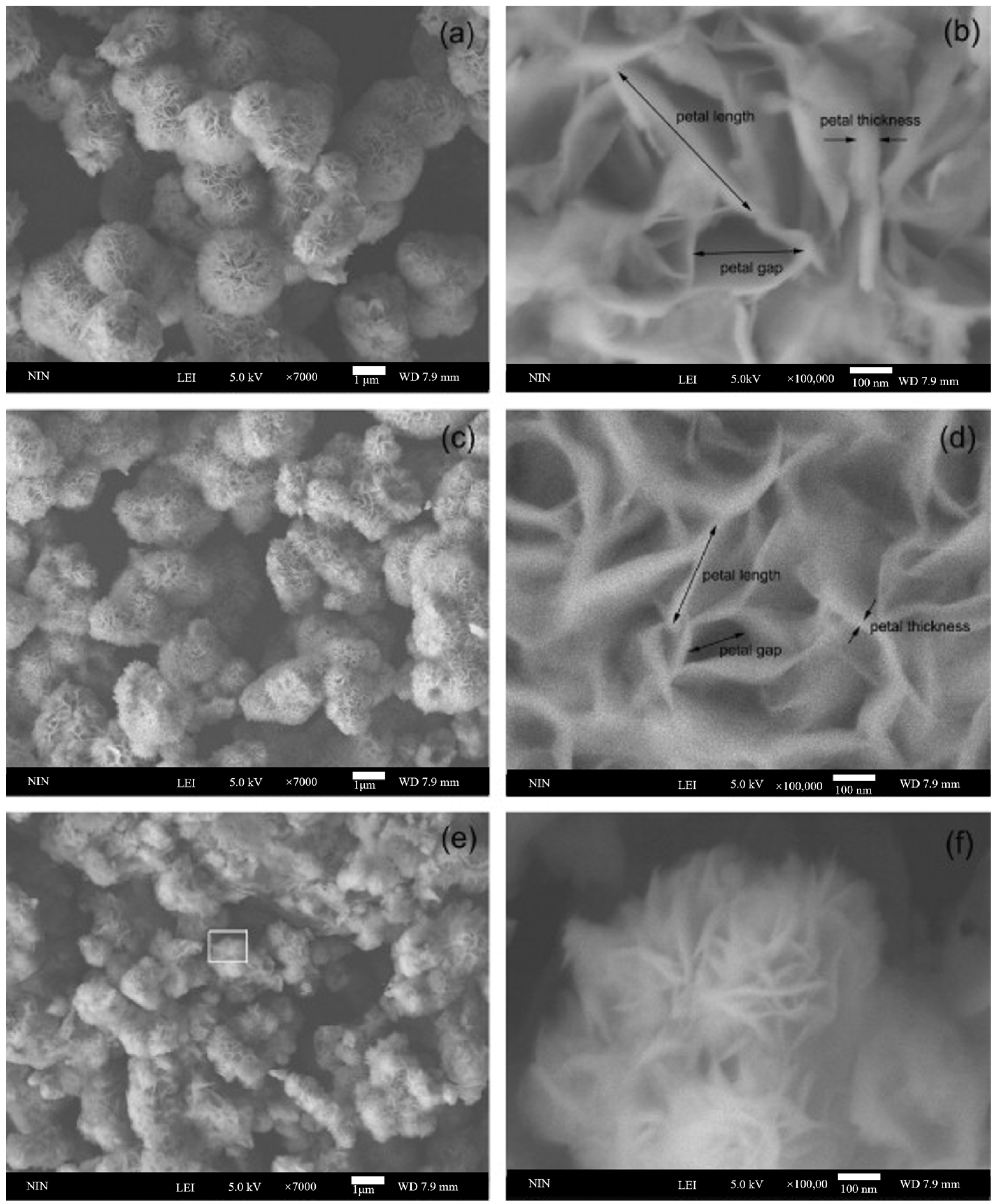Catalysts 15 00271 g003 Catalysts 15 00271 g003