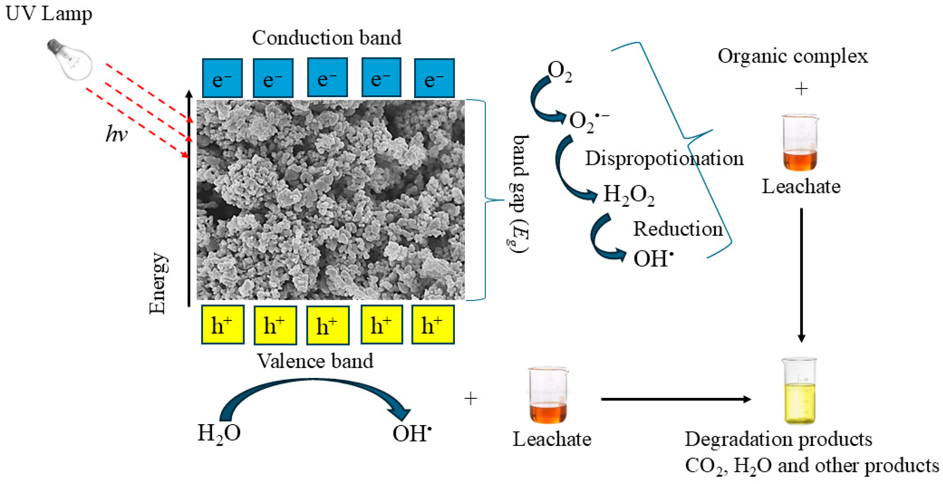 Catalysts 15 00275 sch001