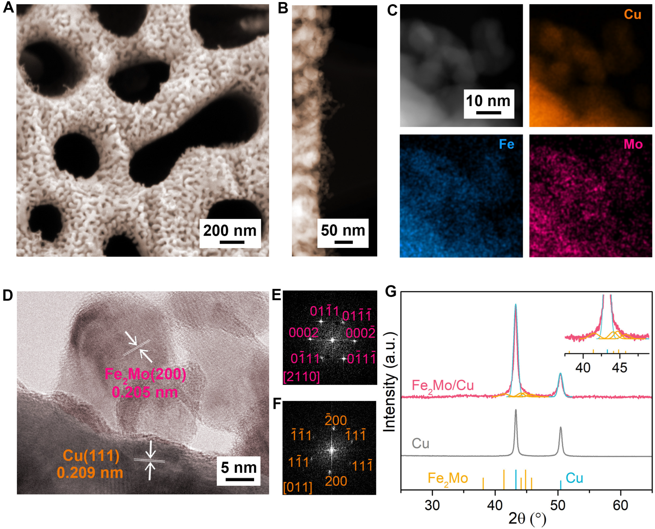 Catalysts 15 00278 g001