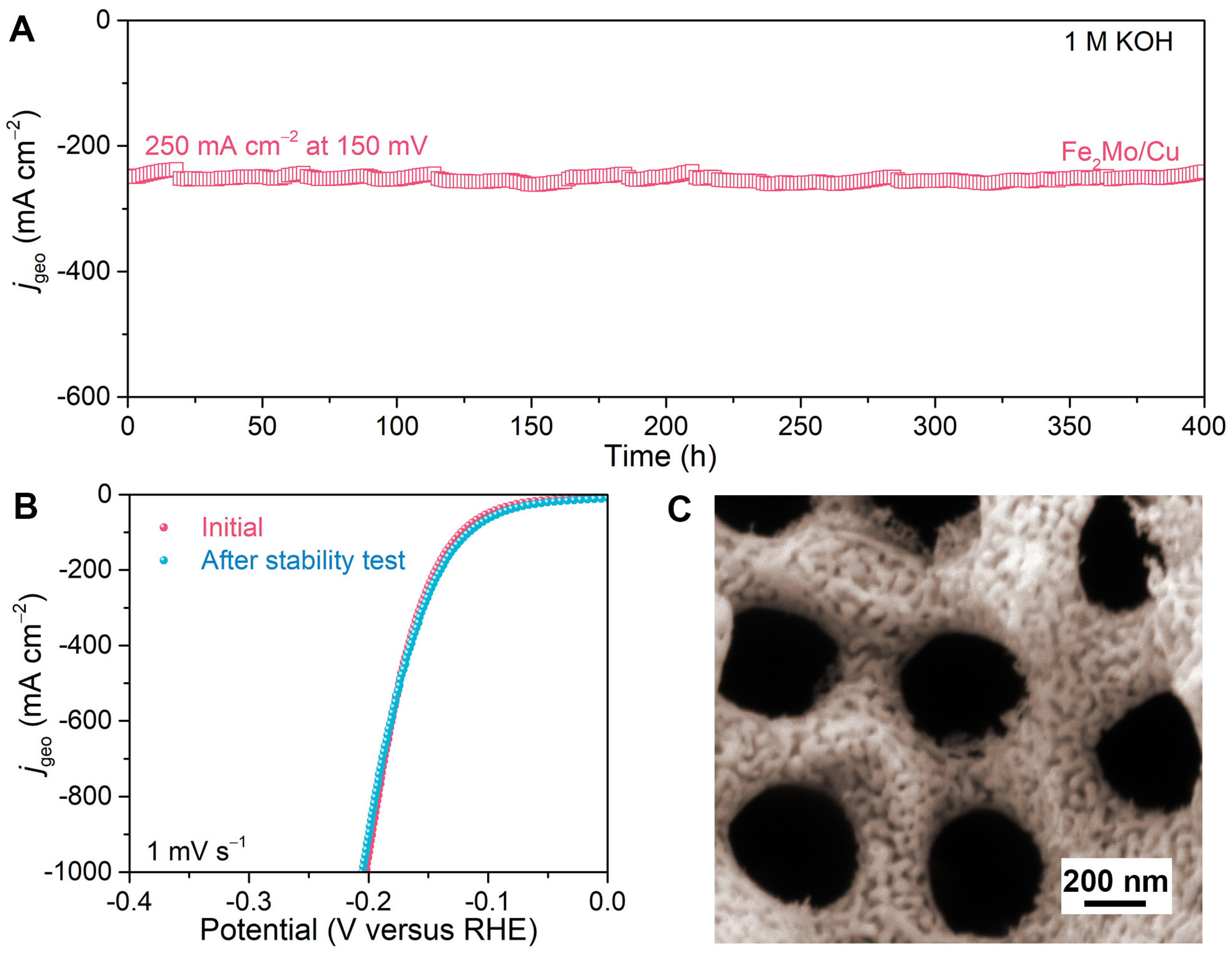 Catalysts 15 00278 g006