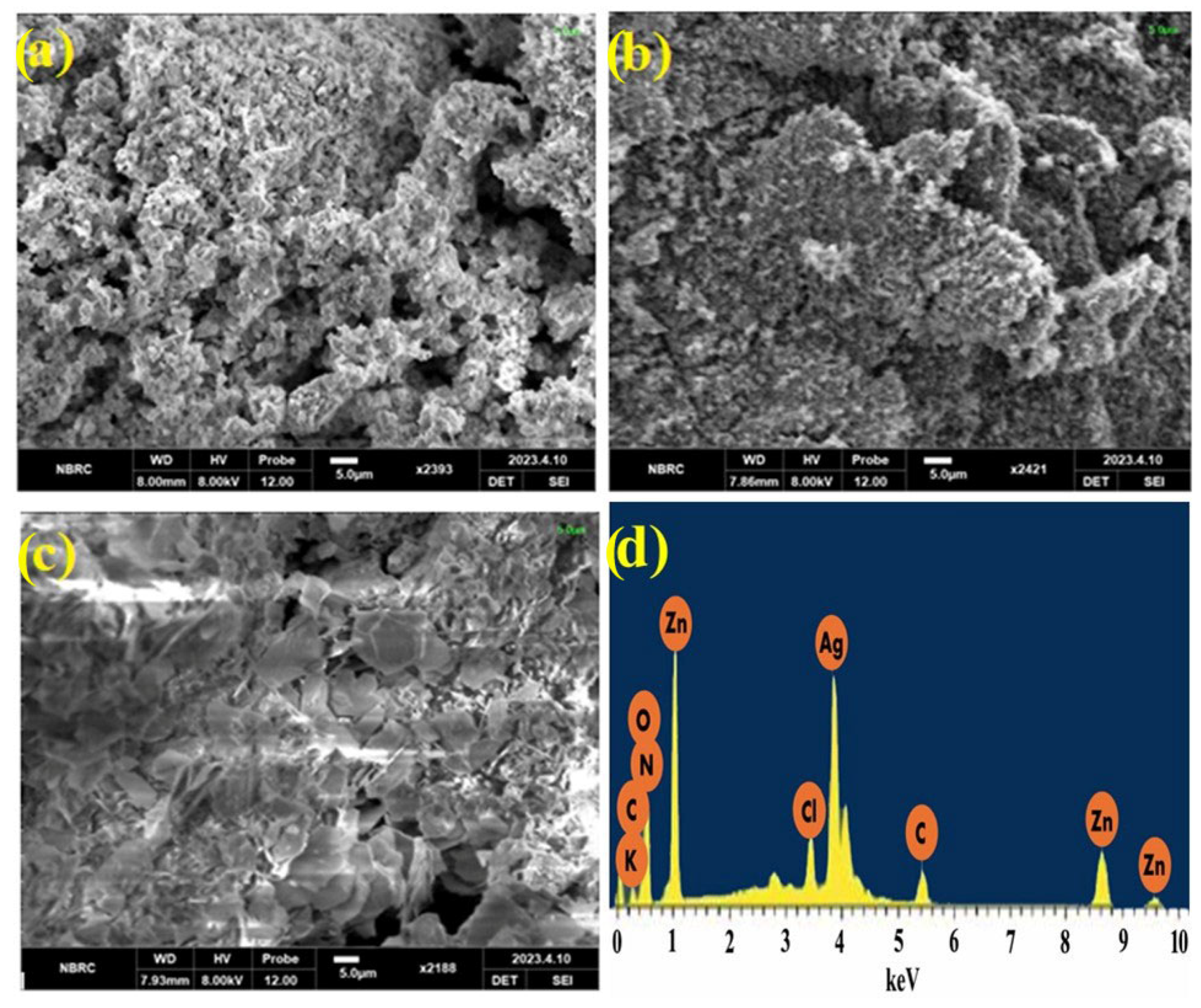 Catalysts 15 00284 g004