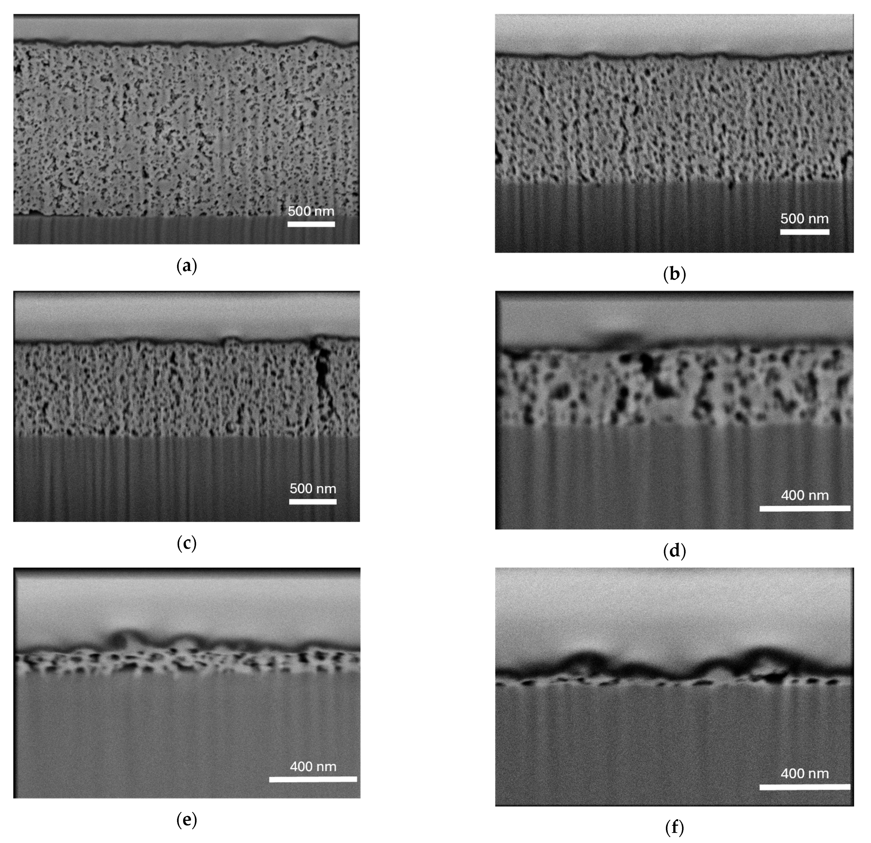 Catalysts 15 00288 g001