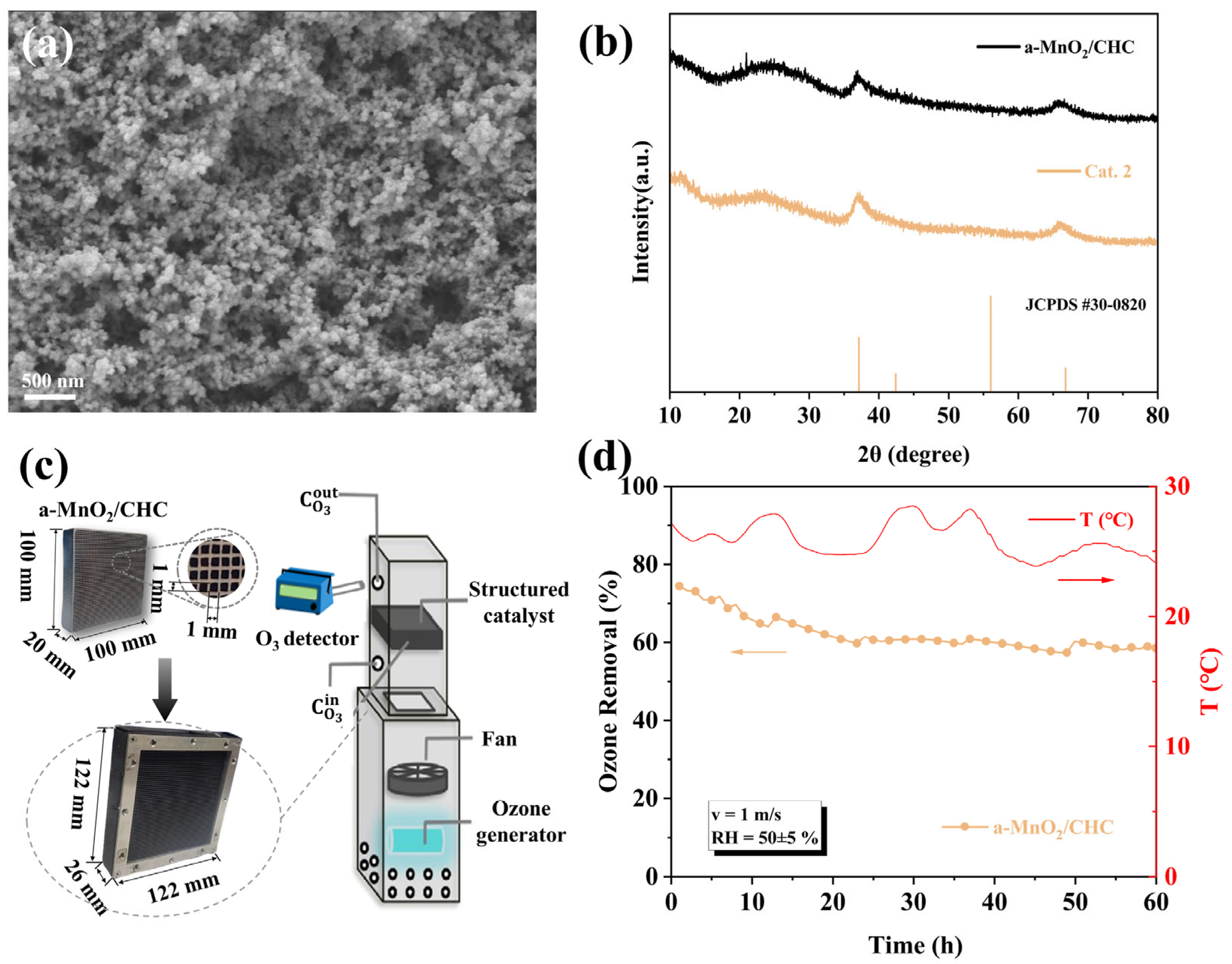 Catalysts 15 00290 g010