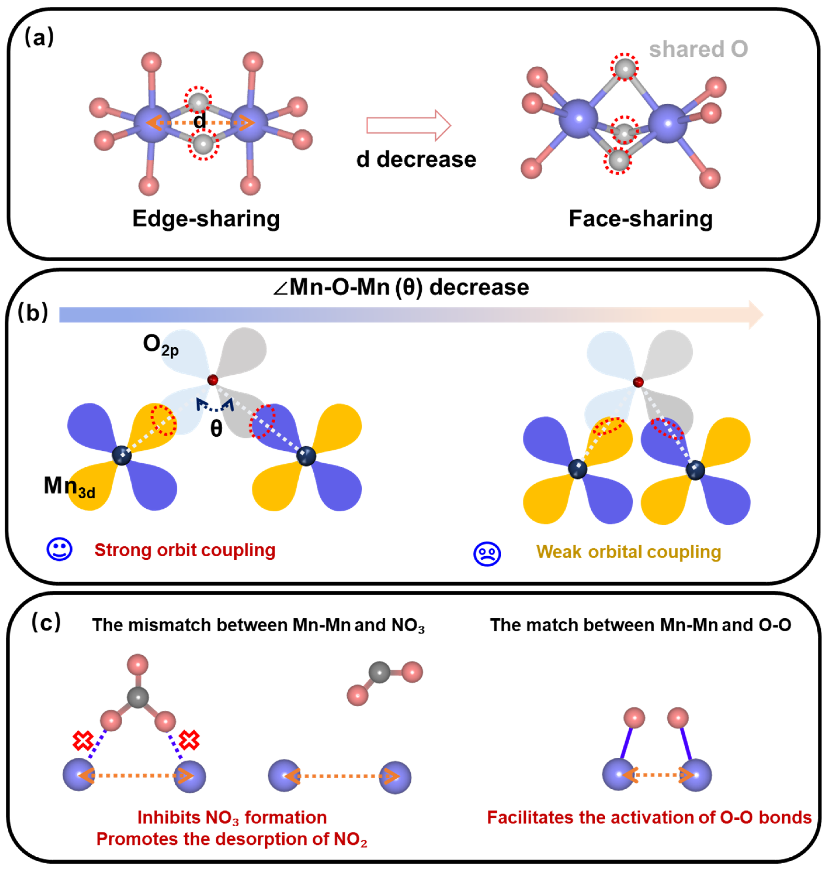 Catalysts 15 00307 g001