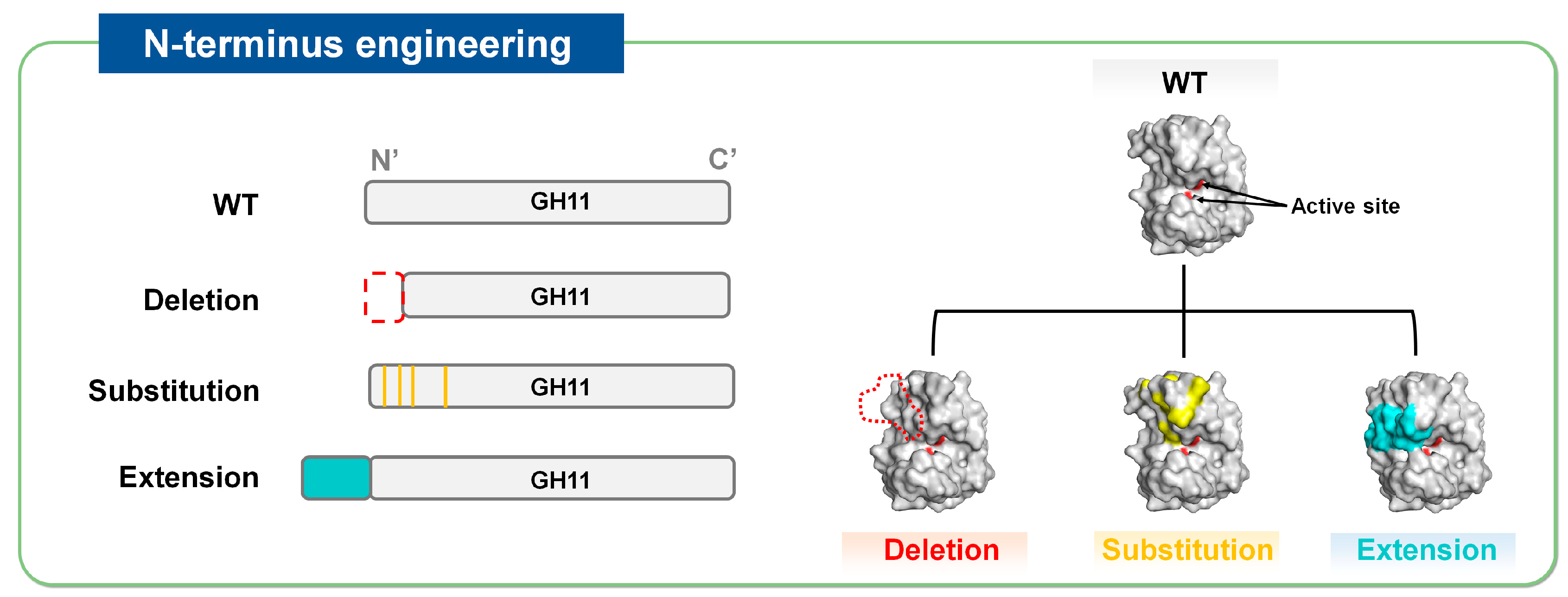 Catalysts 15 00317 g003