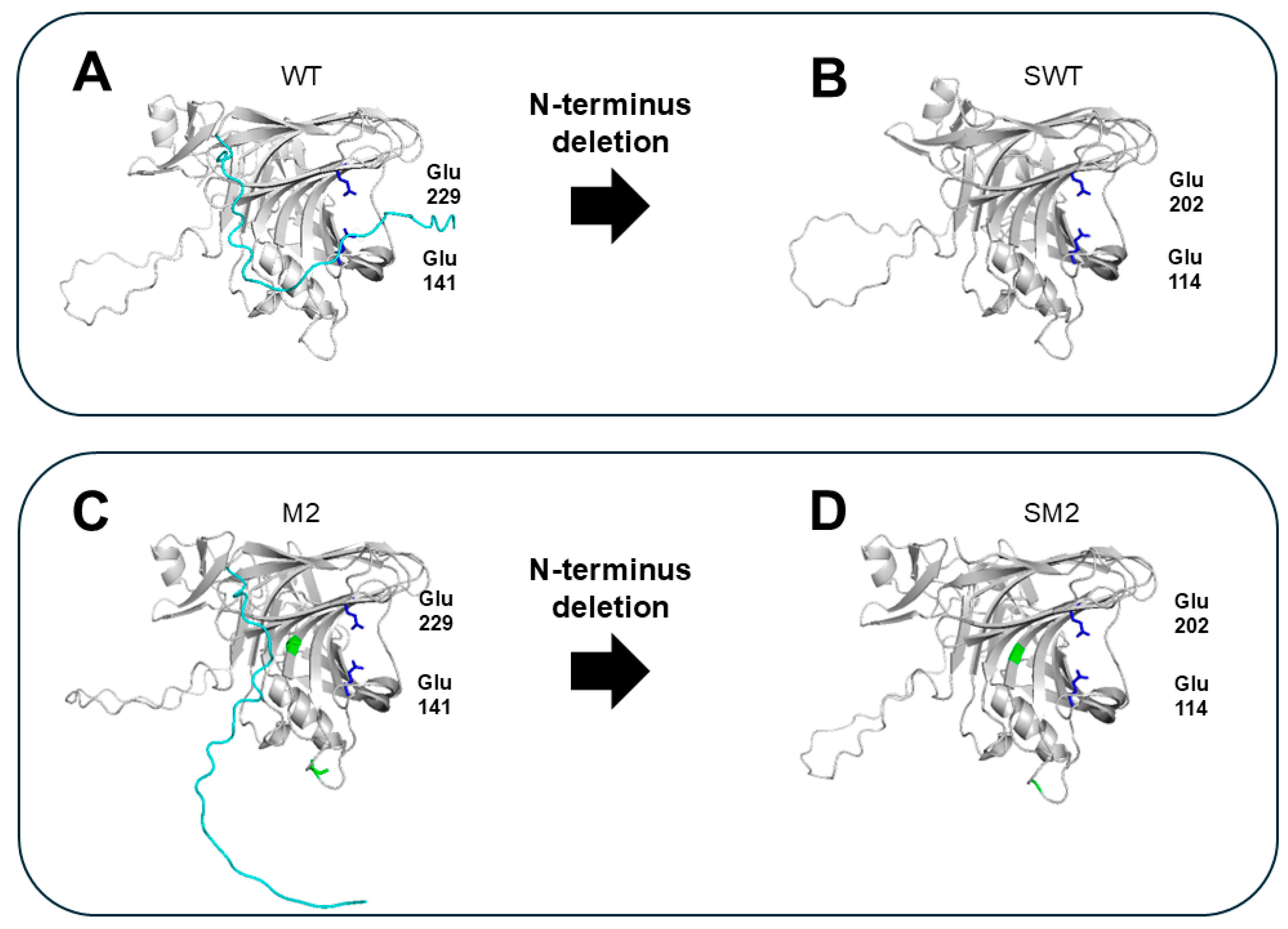 Catalysts 15 00317 g004
