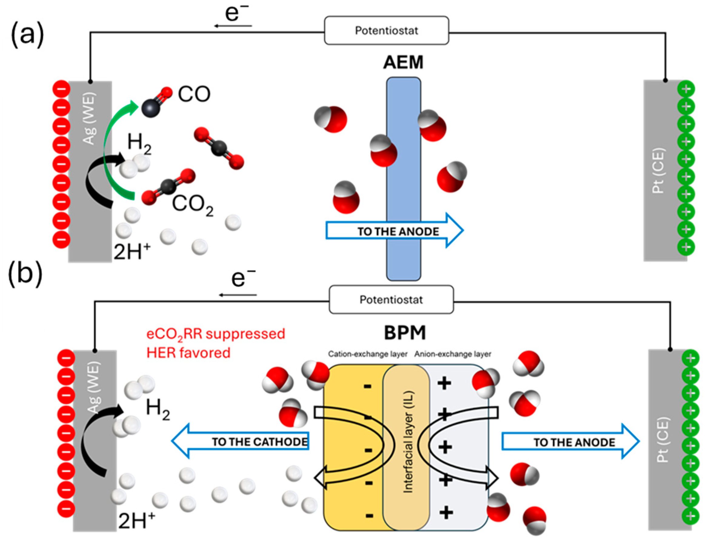 Catalysts 15 00318 g008