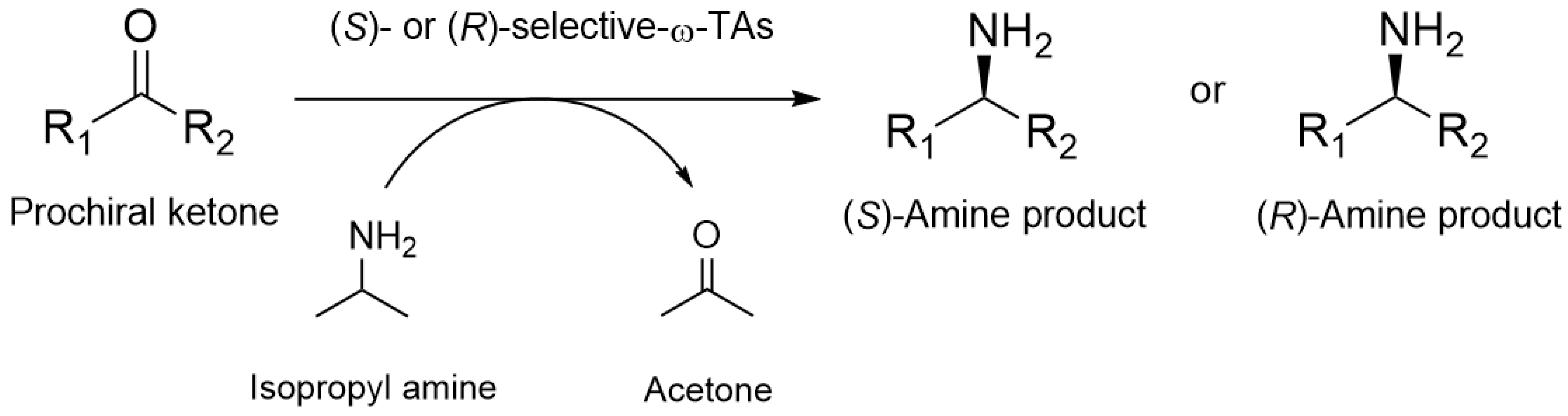 Catalysts 15 00326 sch001