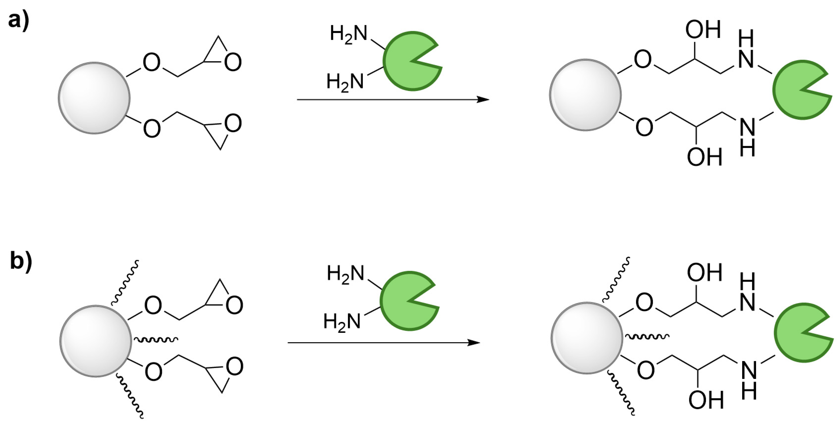 Catalysts 15 00326 sch004