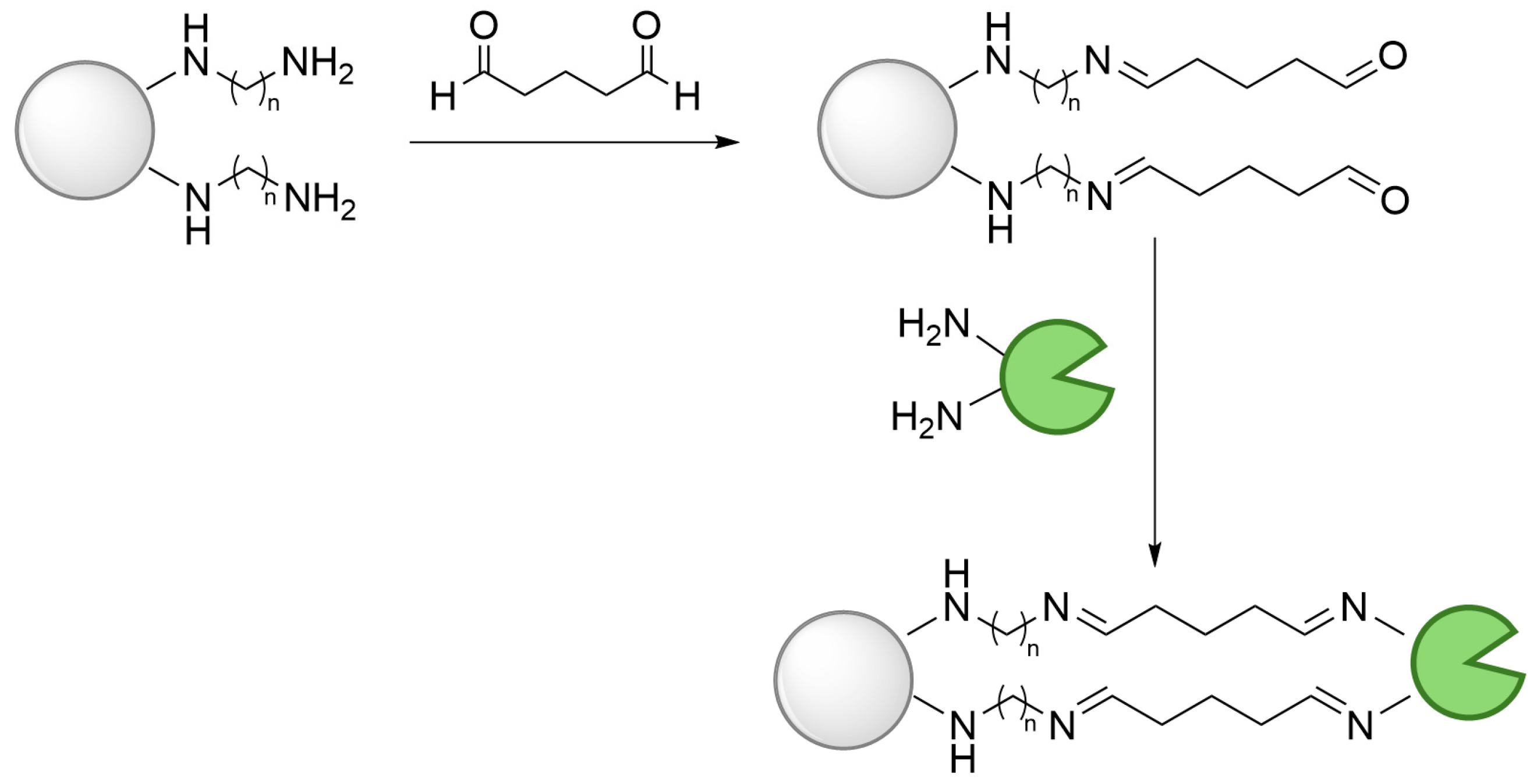 Catalysts 15 00326 sch005