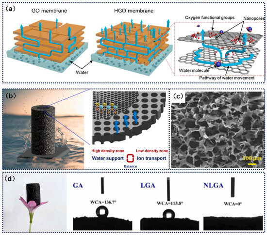 Catalysts 15 00336 g007