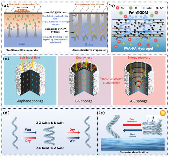 Catalysts 15 00336 g008
