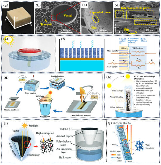 Catalysts 15 00336 g009