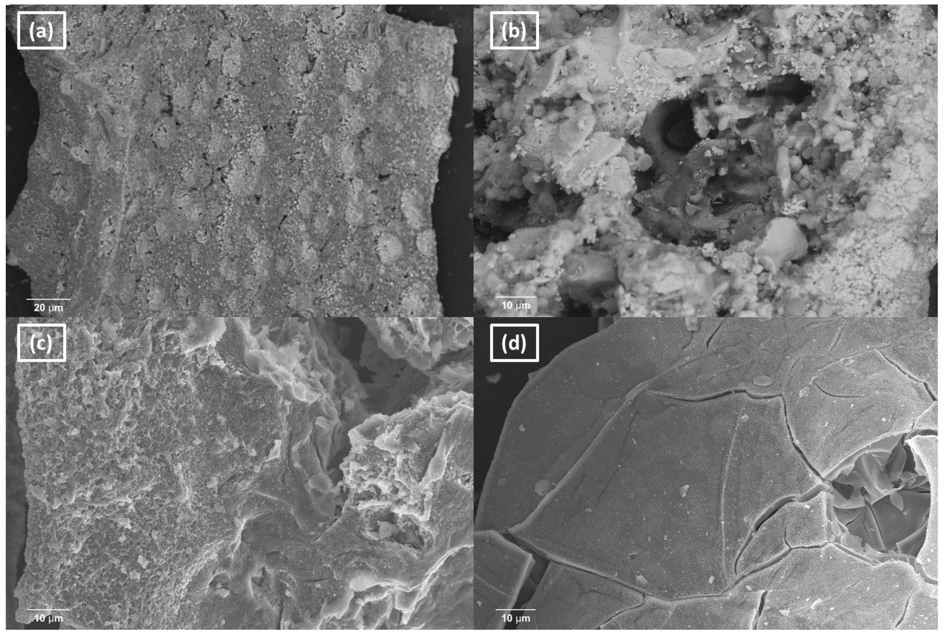 Catalysts 15 00348 g007 Catalysts 15 00348 g007
