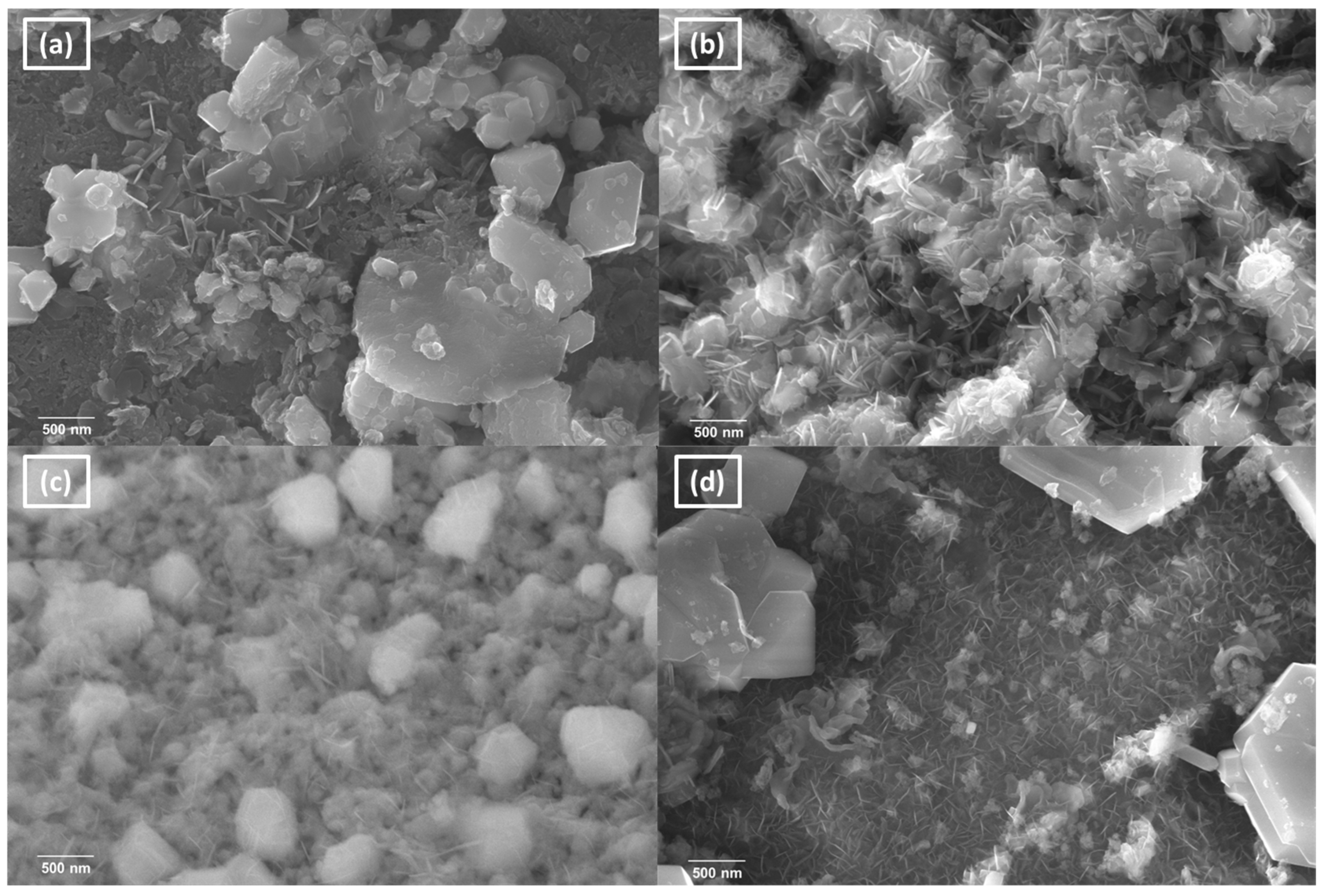 Catalysts 15 00348 g008 Catalysts 15 00348 g008