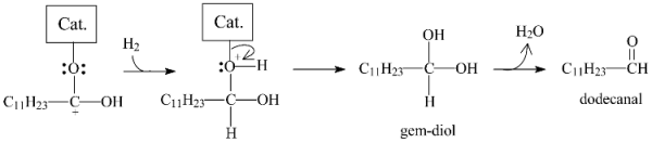 Catalysts 15 00359 i005