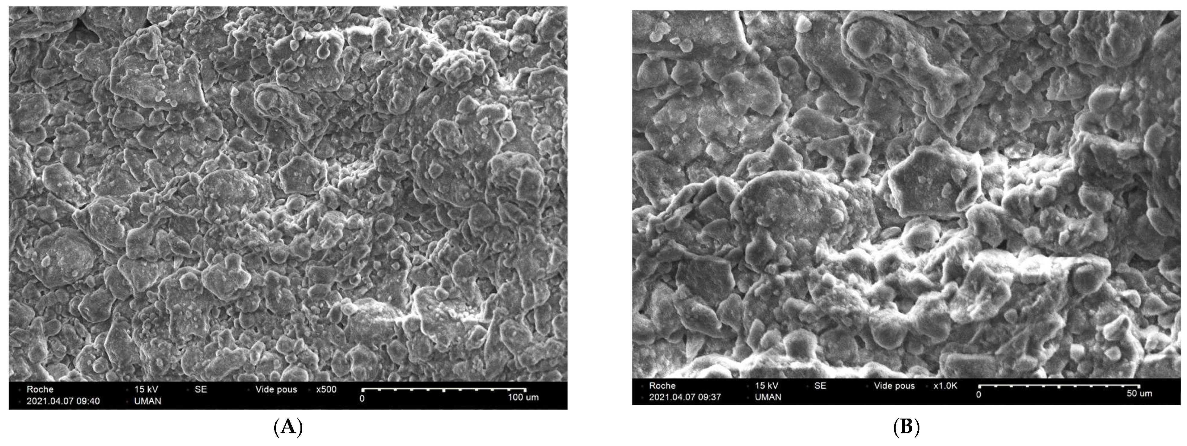 Catalysts 15 00363 g001 Catalysts 15 00363 g001