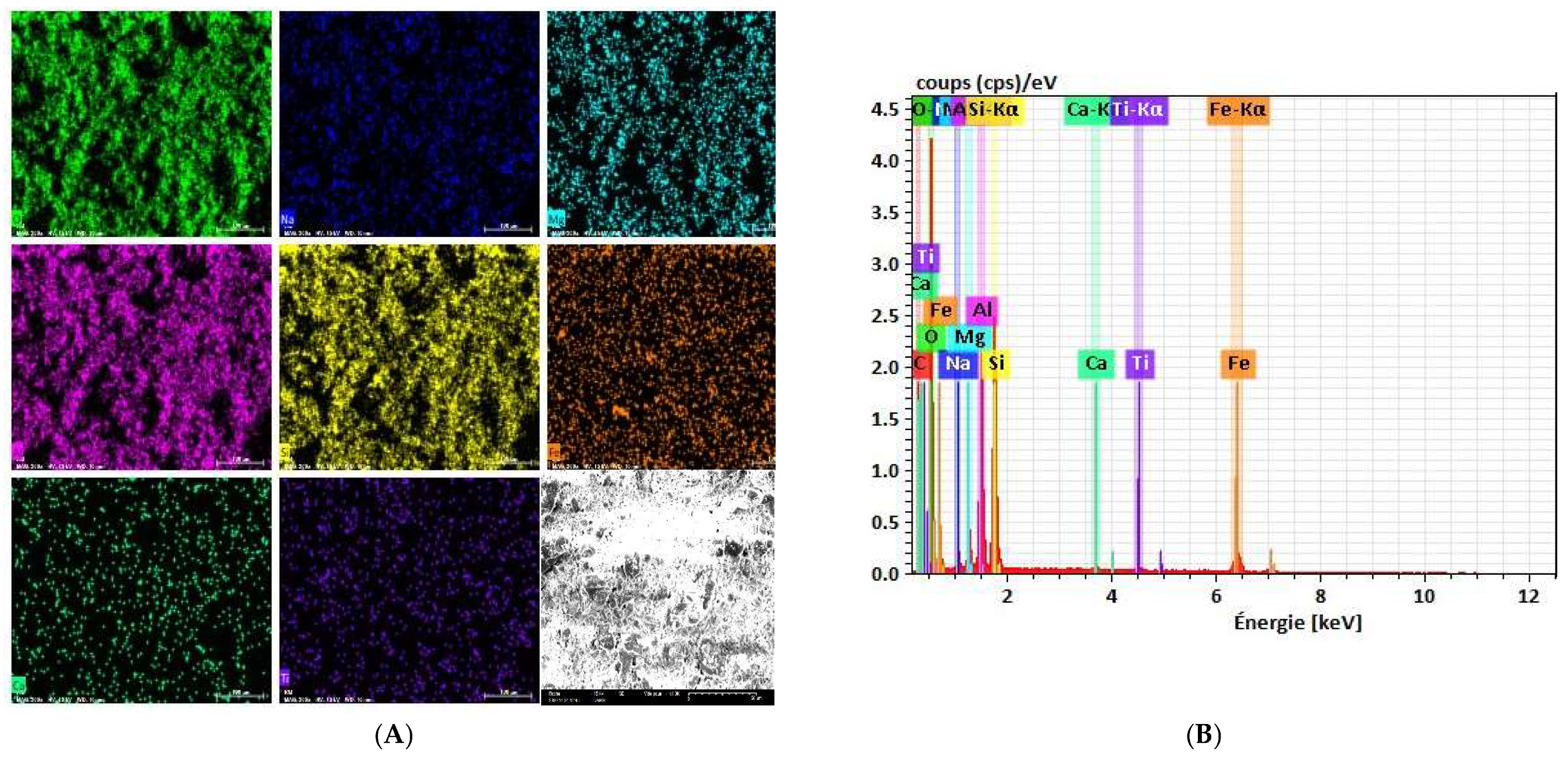 Catalysts 15 00363 g002 Catalysts 15 00363 g002