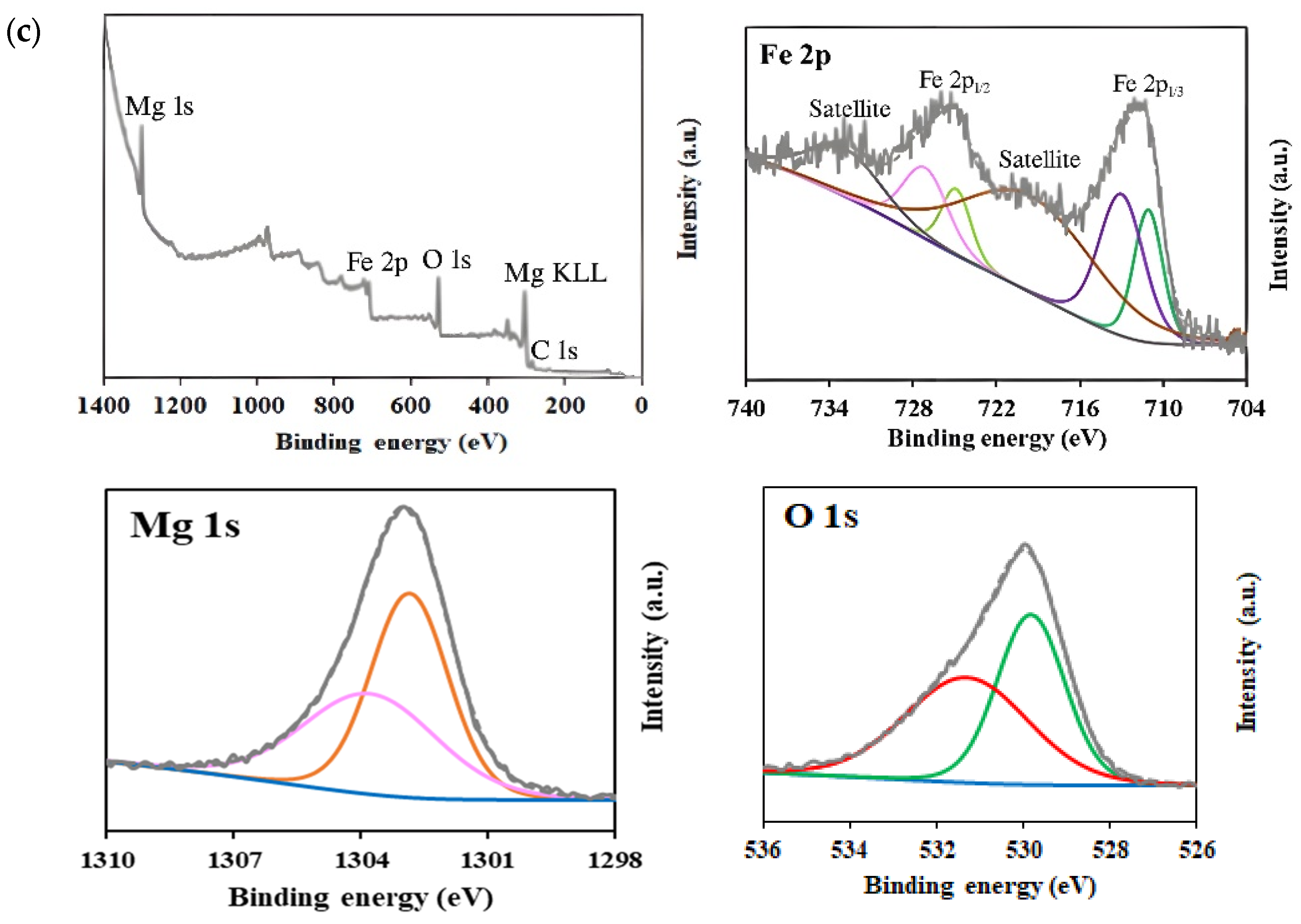 Catalysts 15 00365 g005b