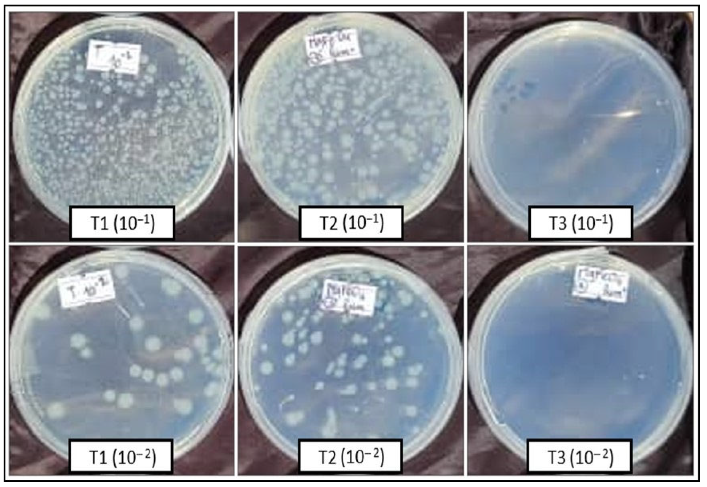 Catalysts 15 00365 g007