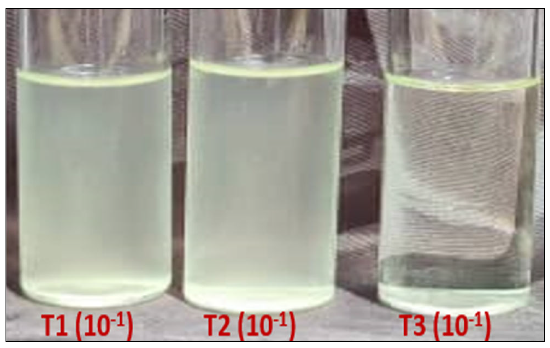 Catalysts 15 00365 g008