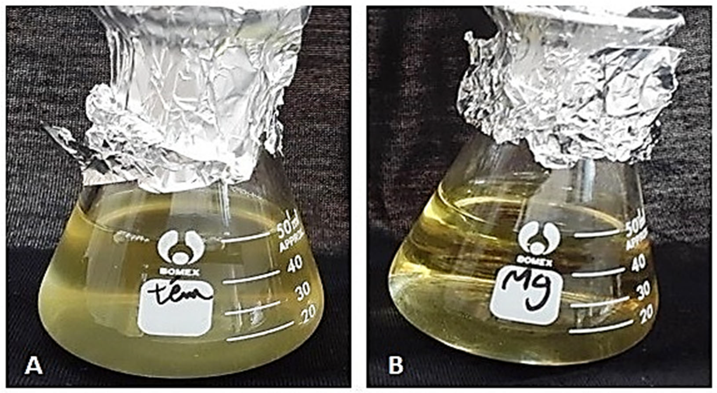 Catalysts 15 00365 g011