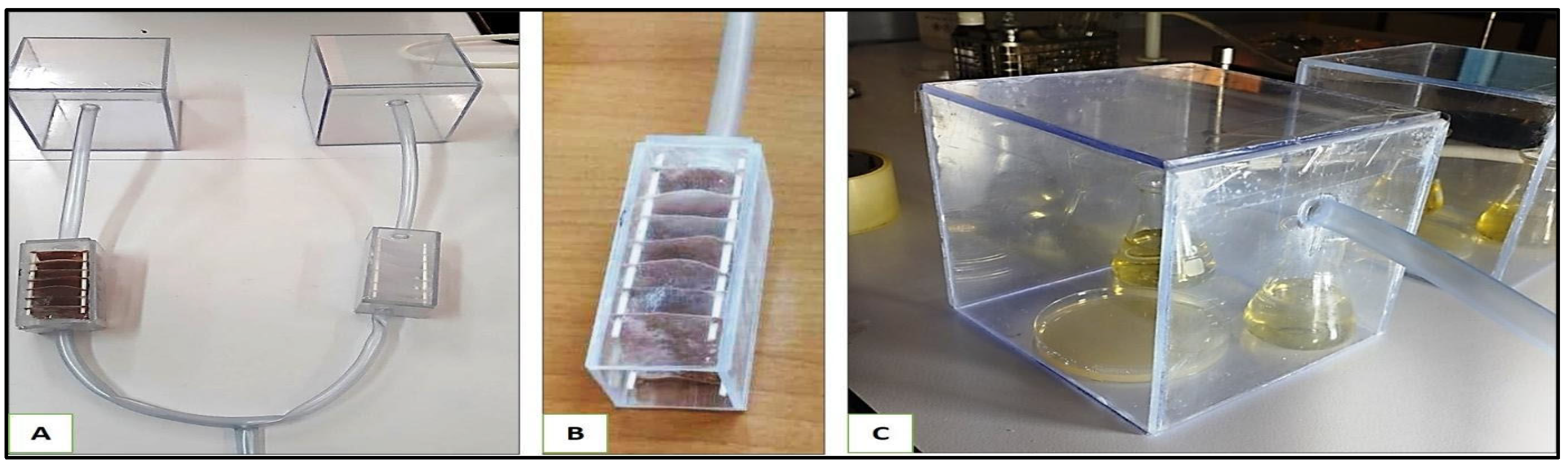 Catalysts 15 00365 g013