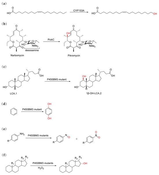 Catalysts 15 00374 g004