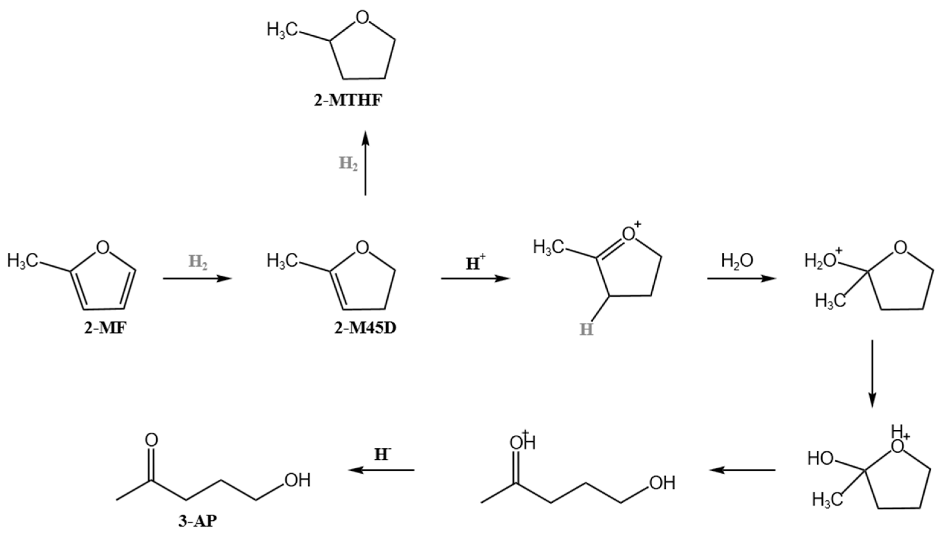 Catalysts 15 00390 sch001