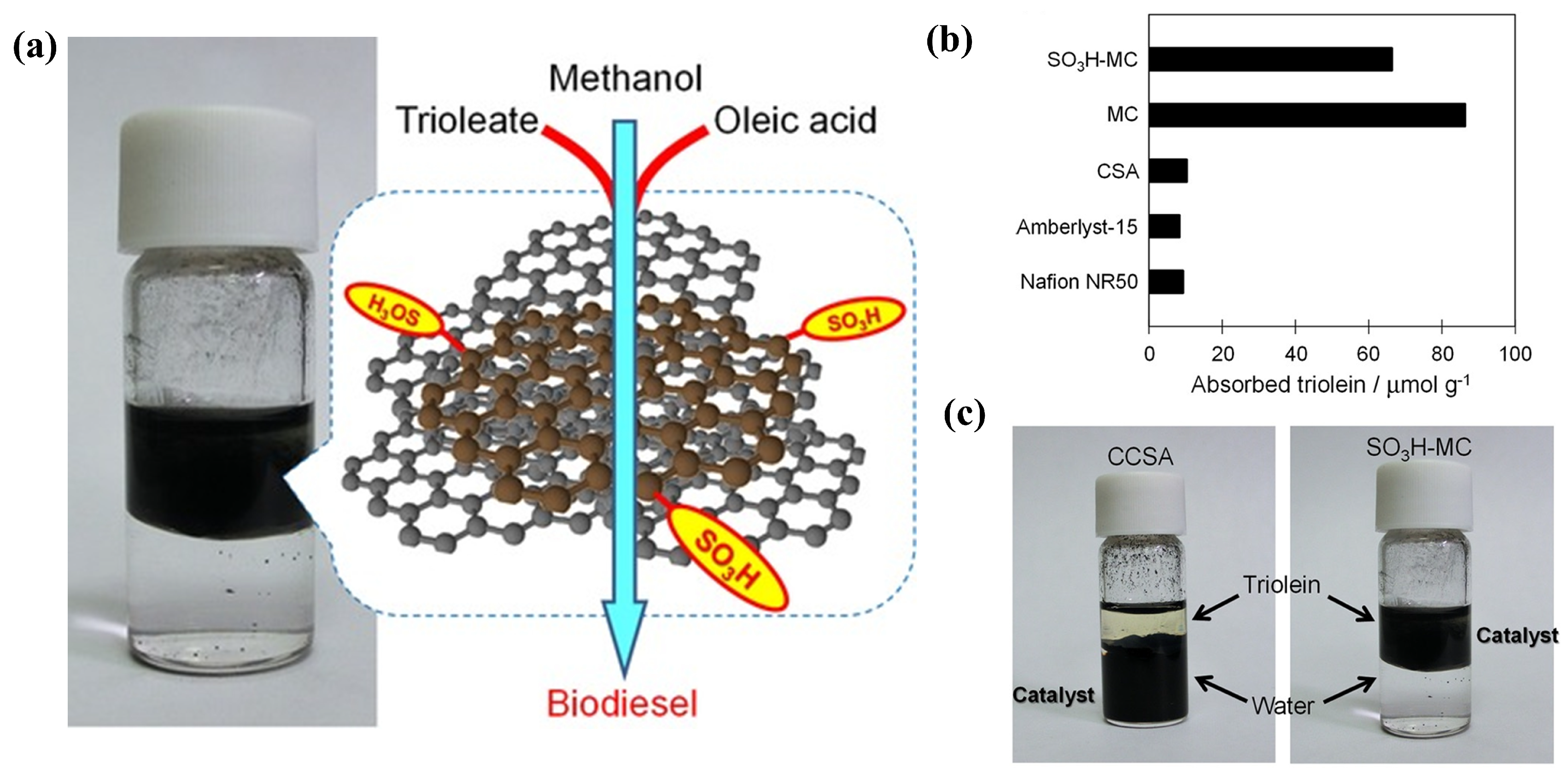 Catalysts 15 00396 g008
