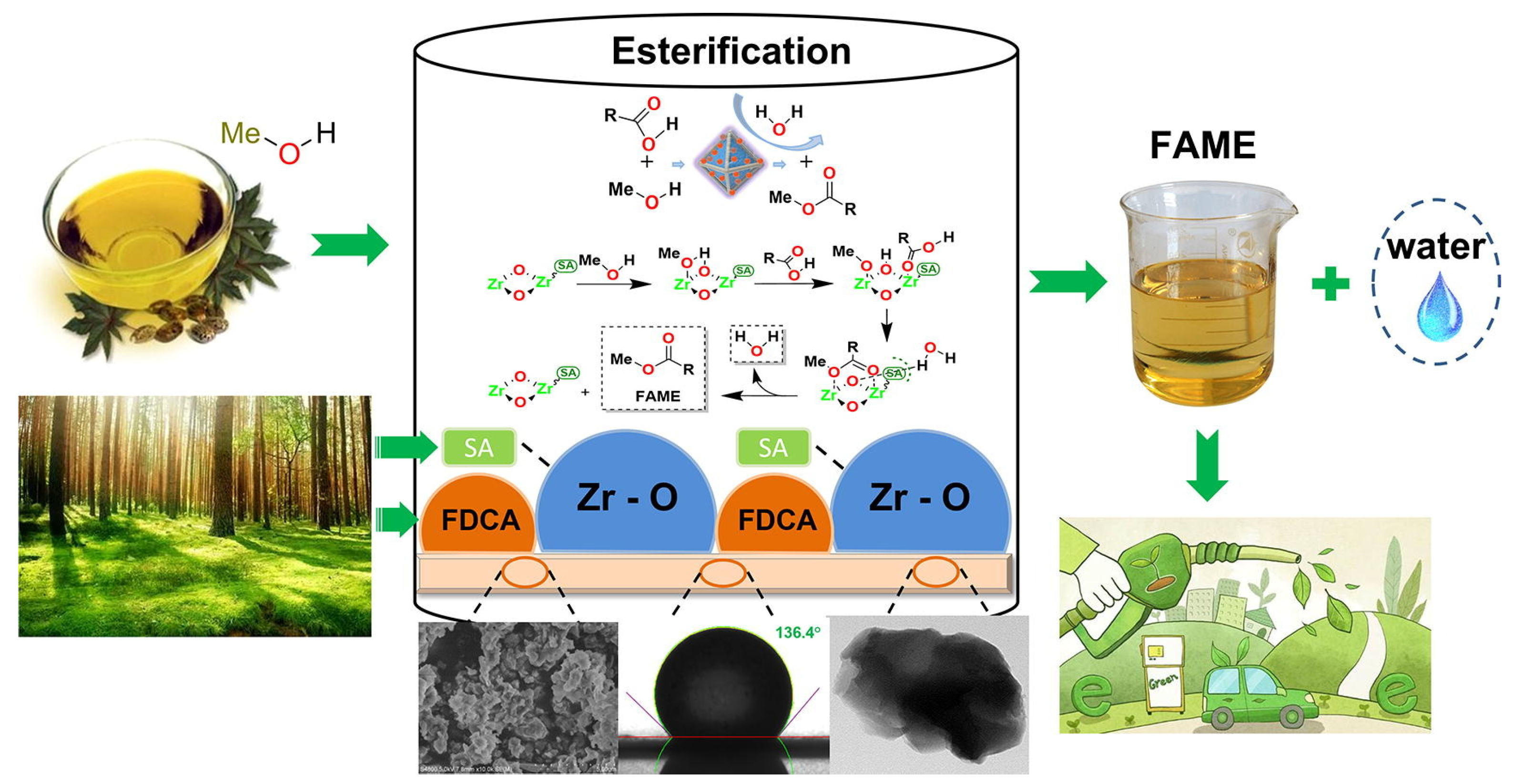 Catalysts 15 00396 g010