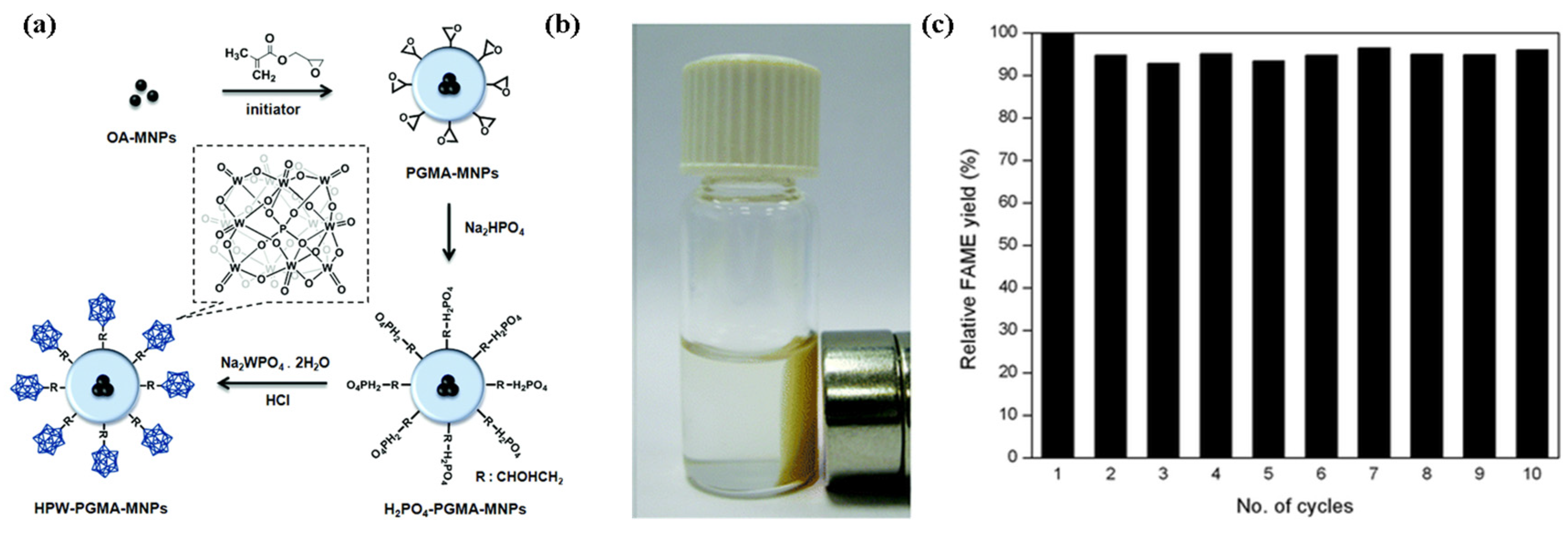 Catalysts 15 00396 g012